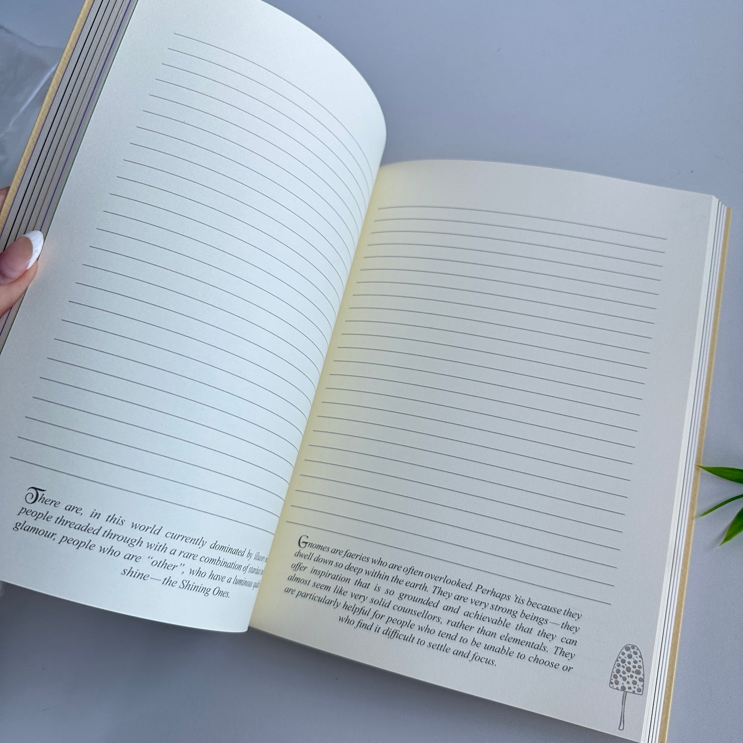 Faery Journal Lucy Cavendish