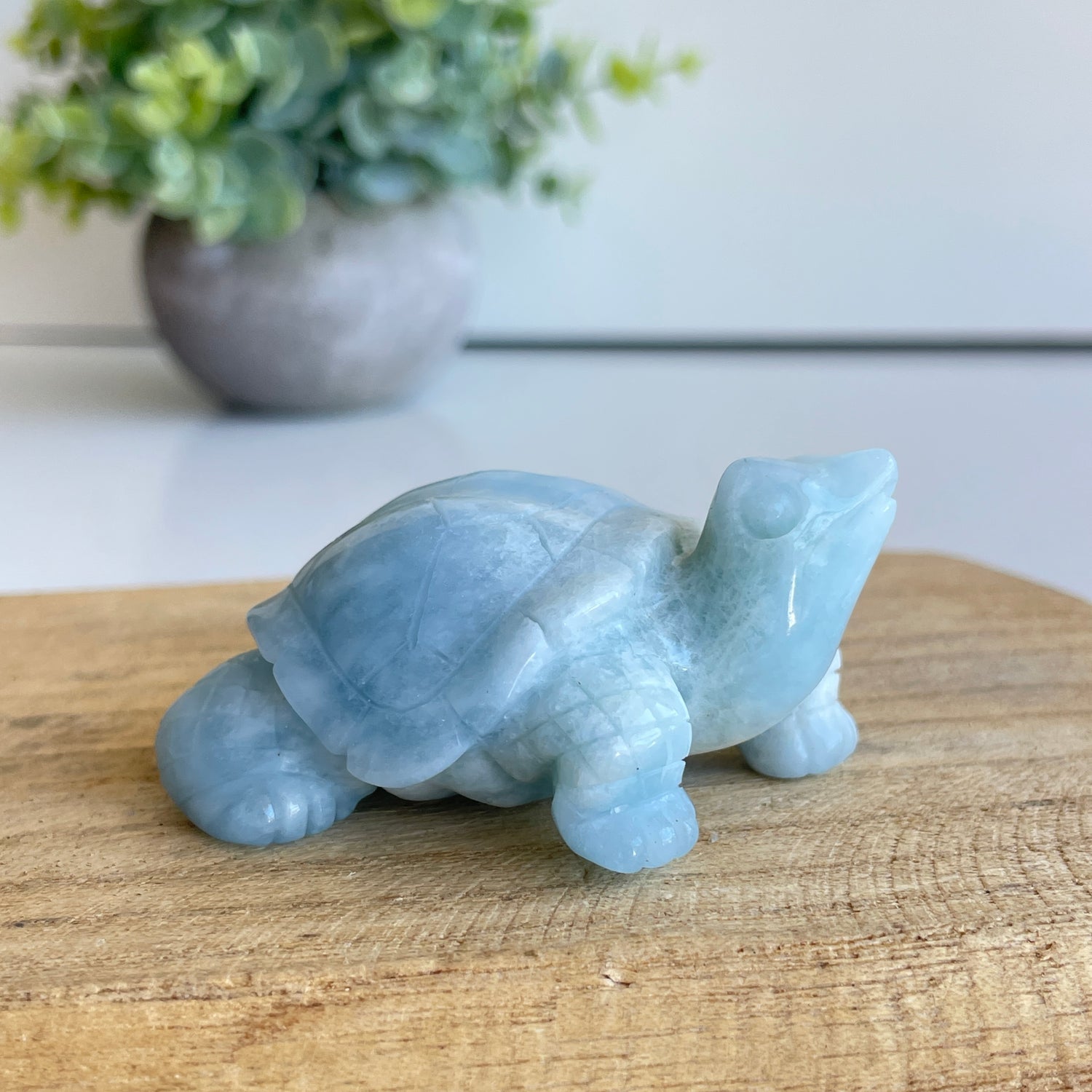 Aquamarine Turtle 6cm