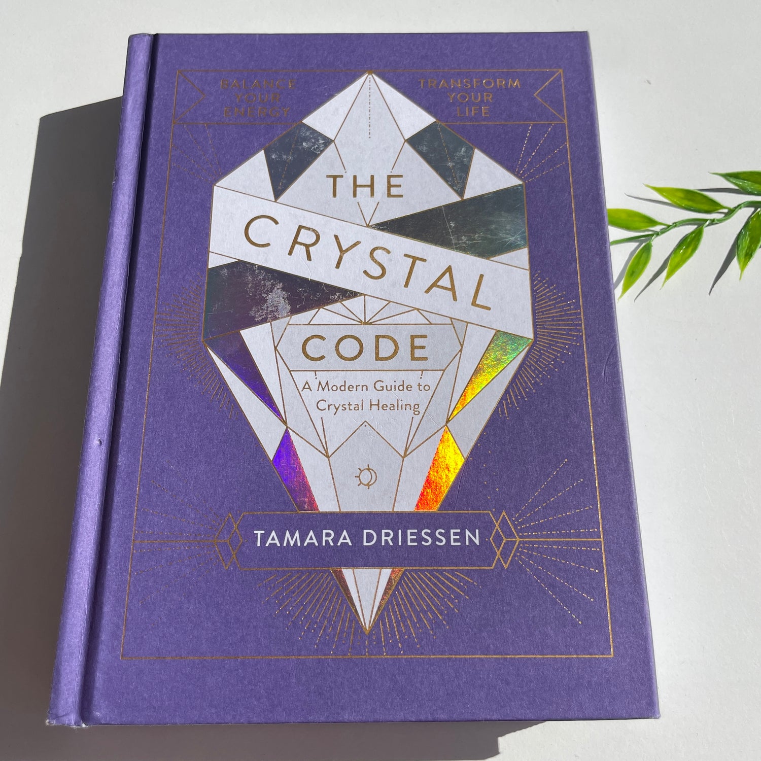 The Crystal Code Tamara Driessen