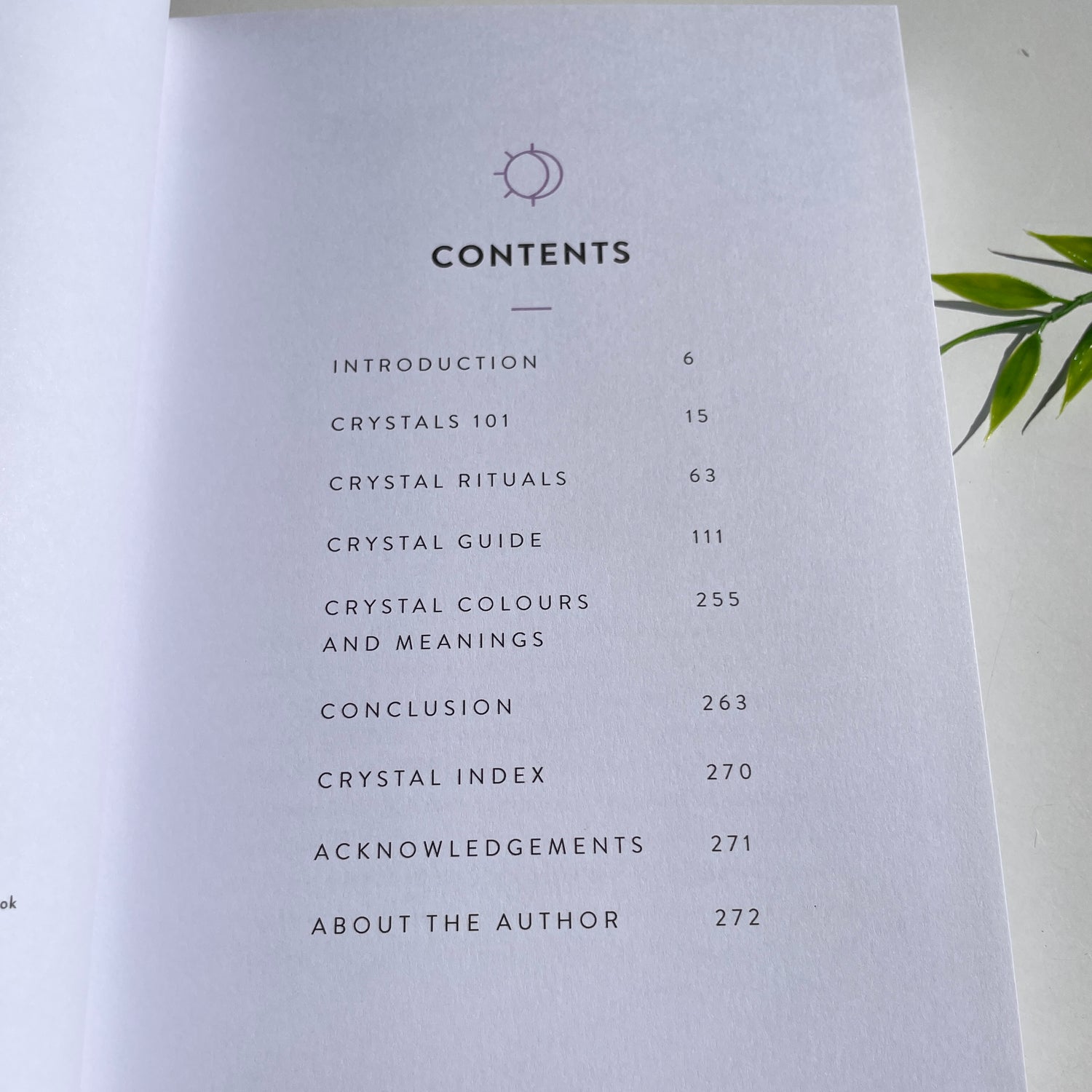 The Crystal Code Tamara Driessen