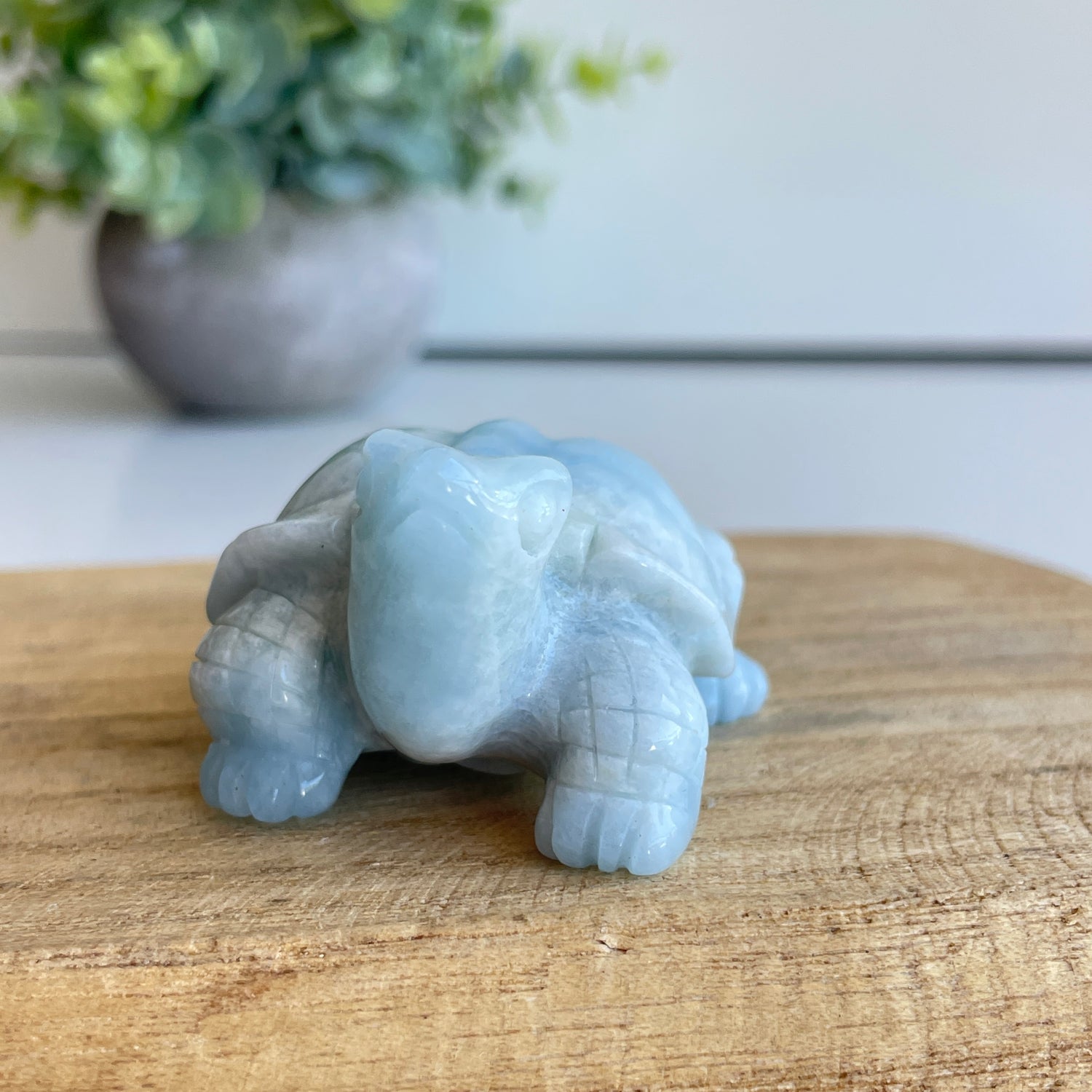Aquamarine Turtle 6cm
