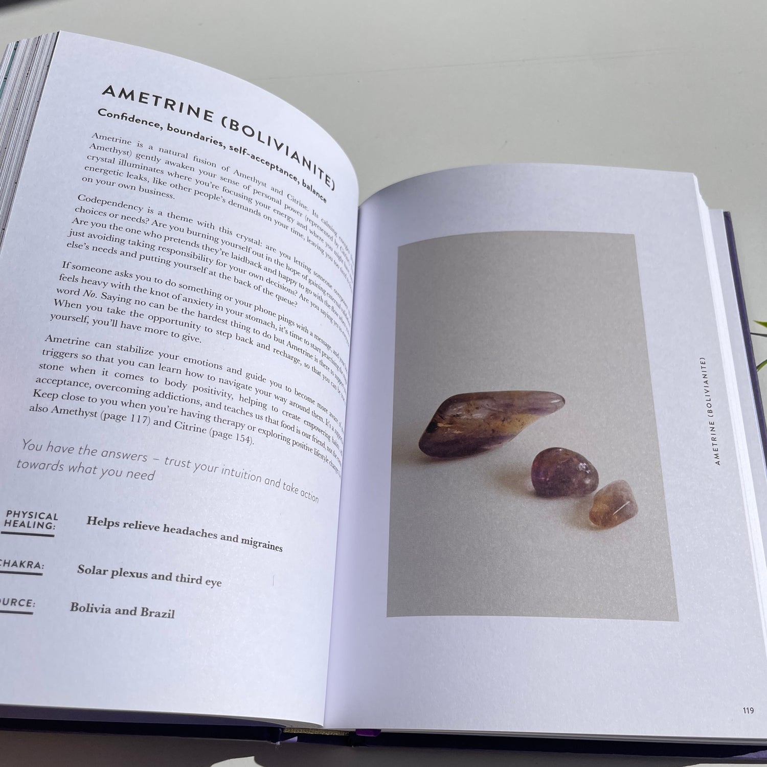 The Crystal Code Tamara Driessen