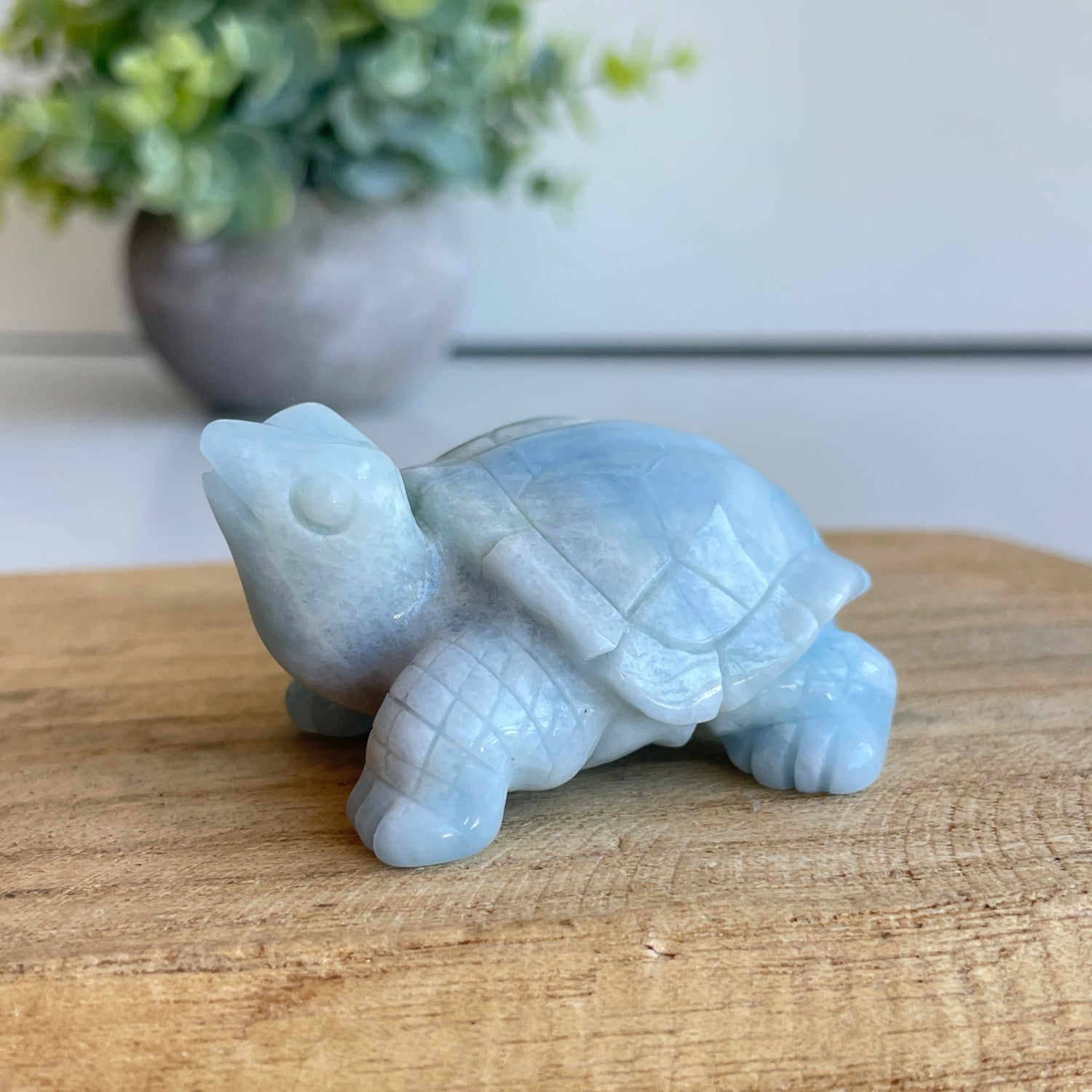 Aquamarine Turtle 6cm