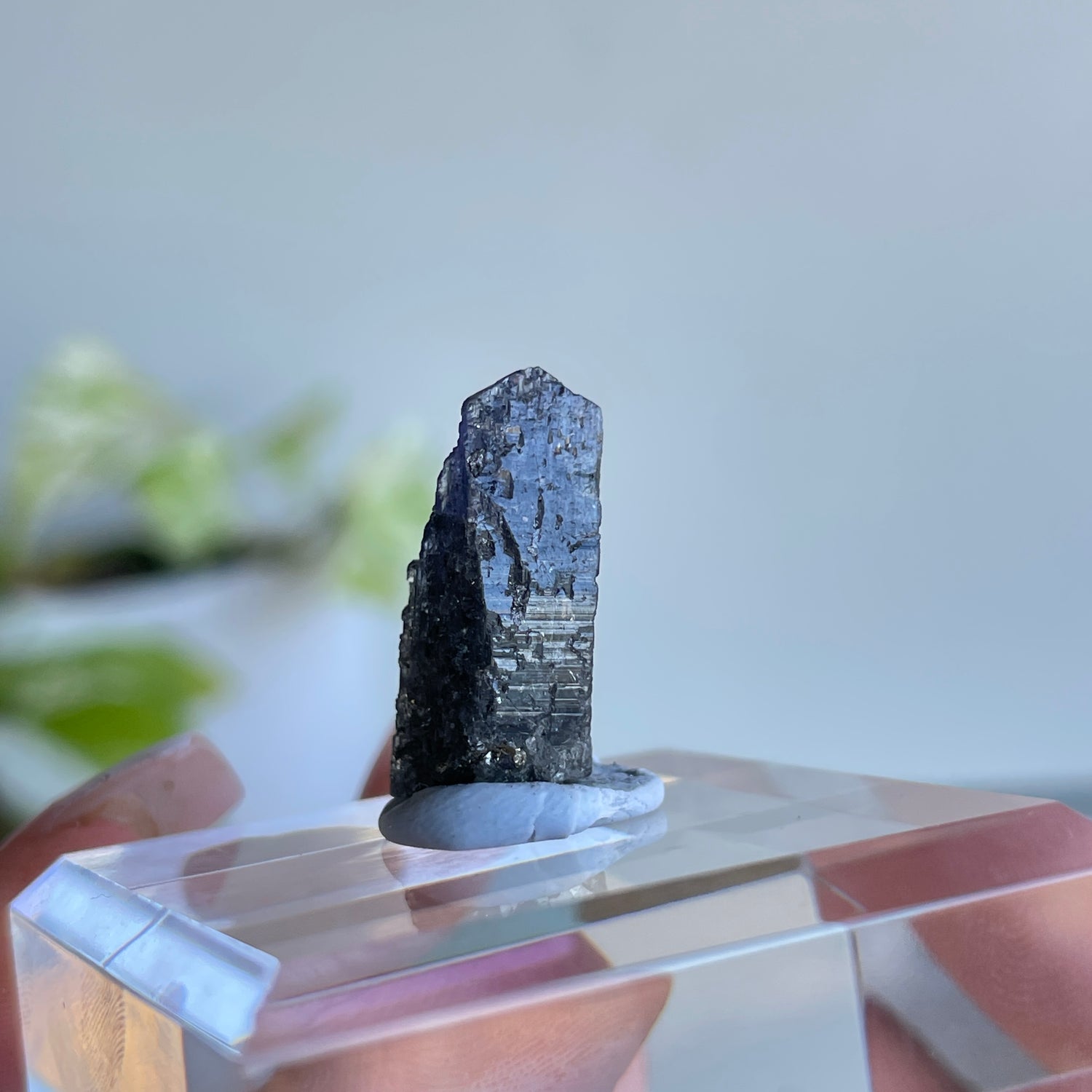 Tanzanite Raw Pc