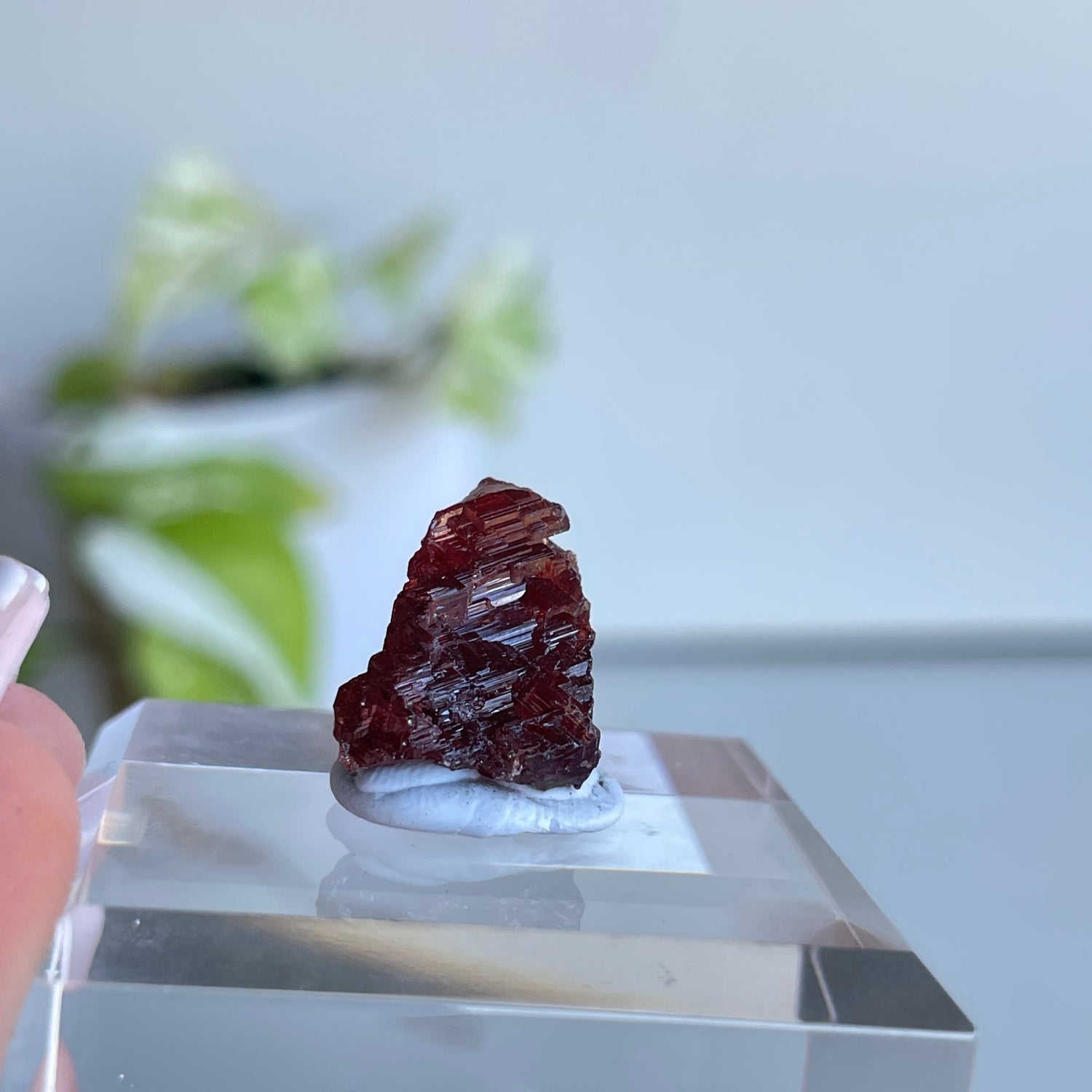 Etched Spessartine Garnet Pc