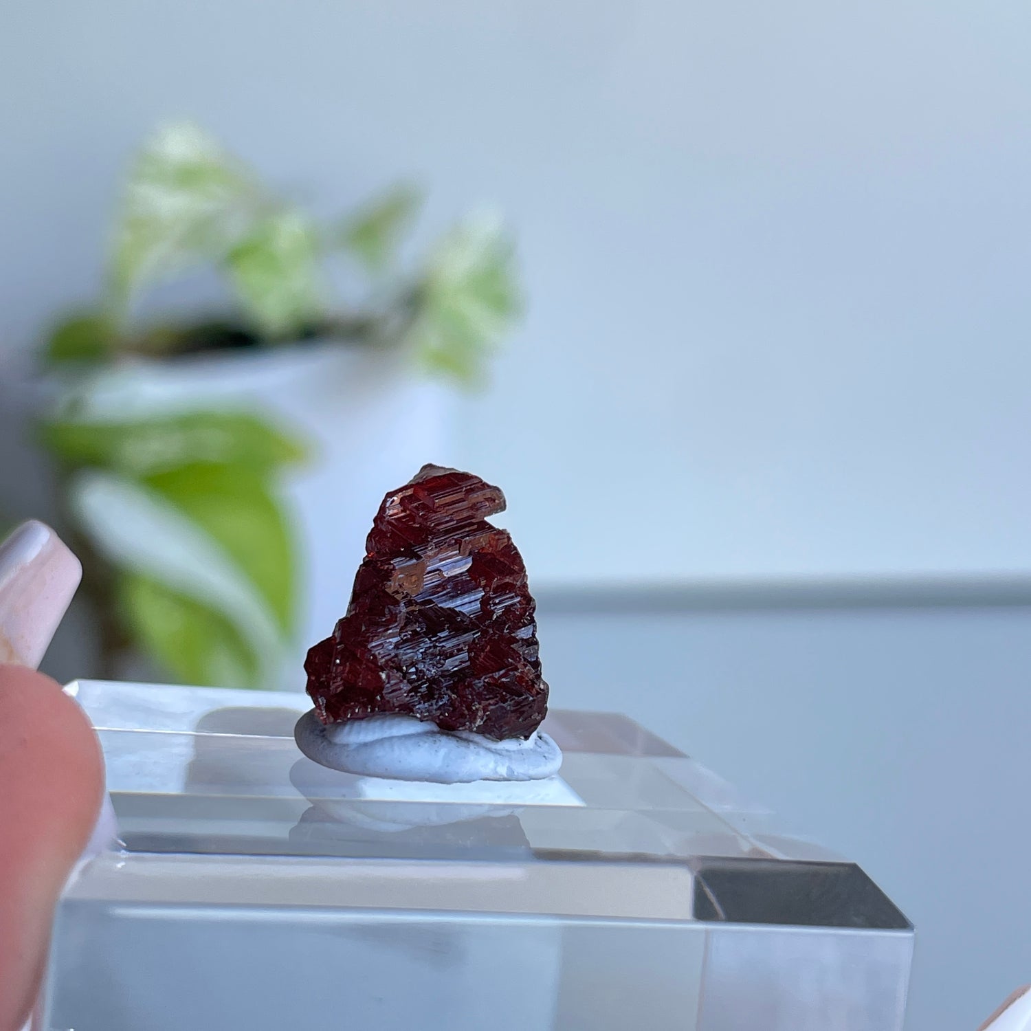 Etched Spessartine Garnet Pc