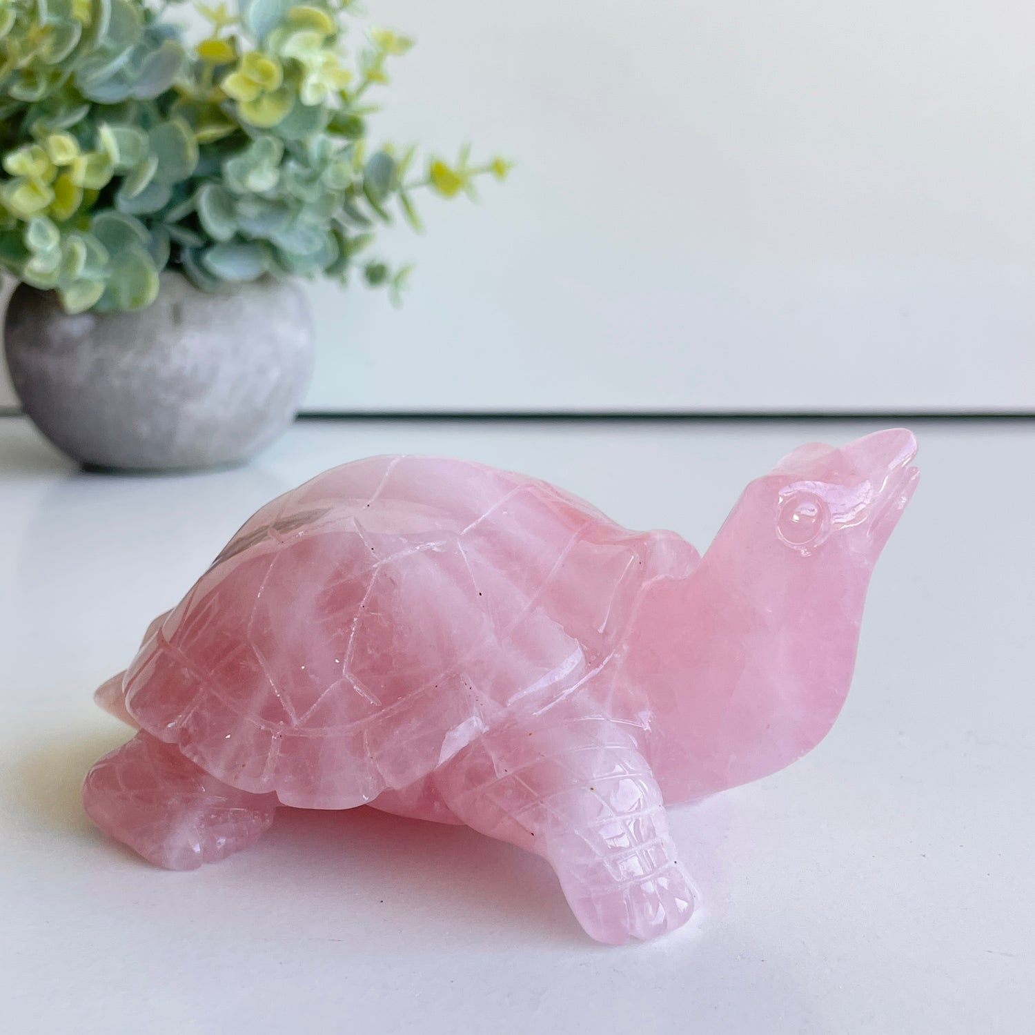 Rose Quartz Turtle 12.8cm