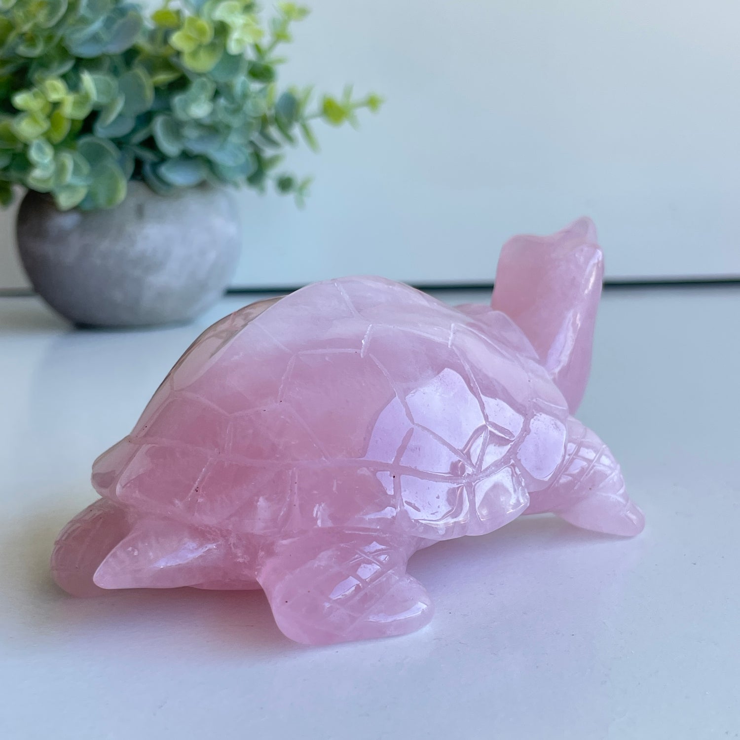 Rose Quartz Turtle 12.8cm