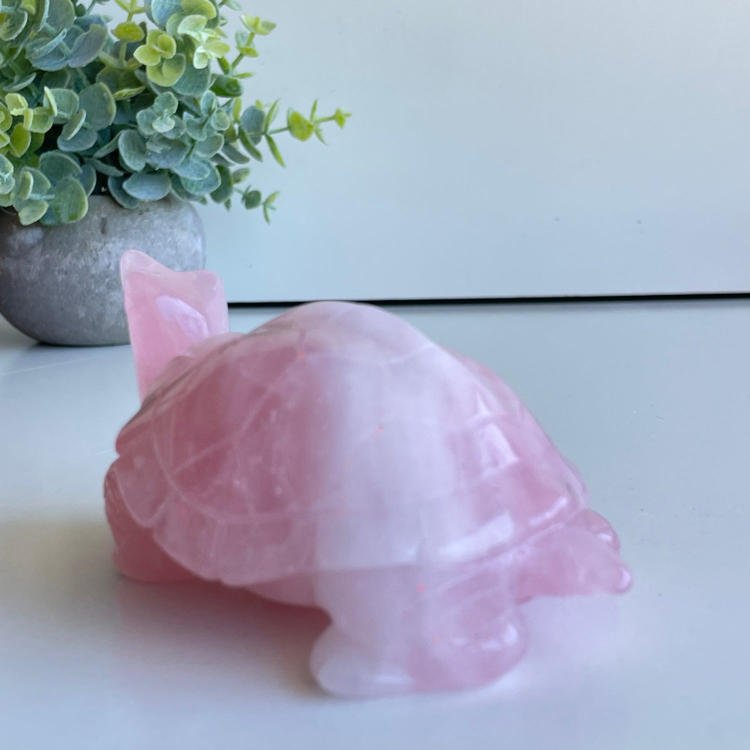 Rose Quartz Turtle 12.8cm