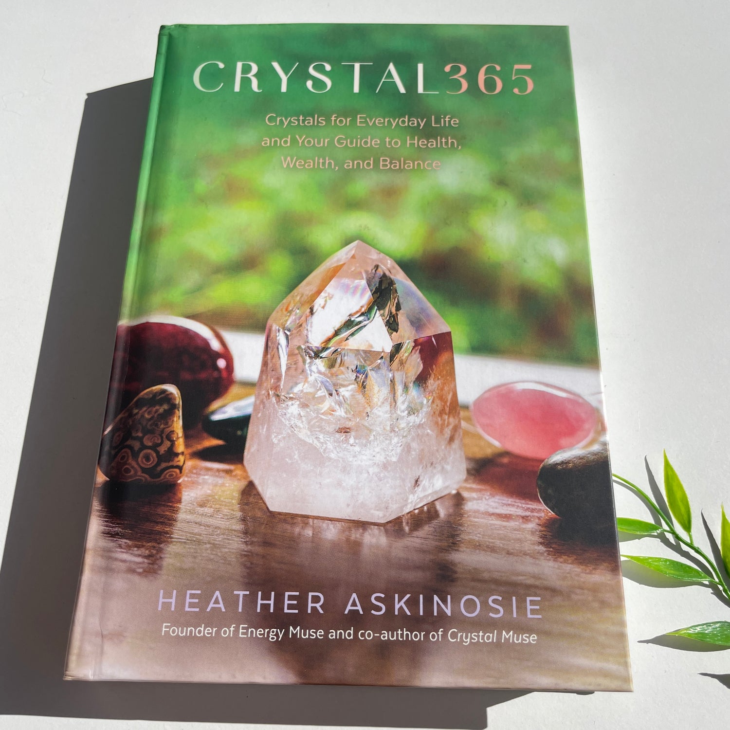 Crystal 365 Heather Askinosie