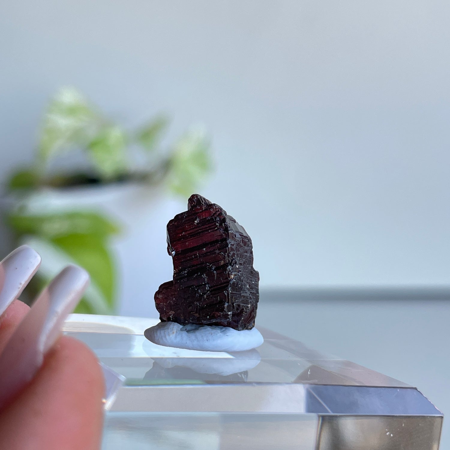 Etched Spessartine Garnet Pc