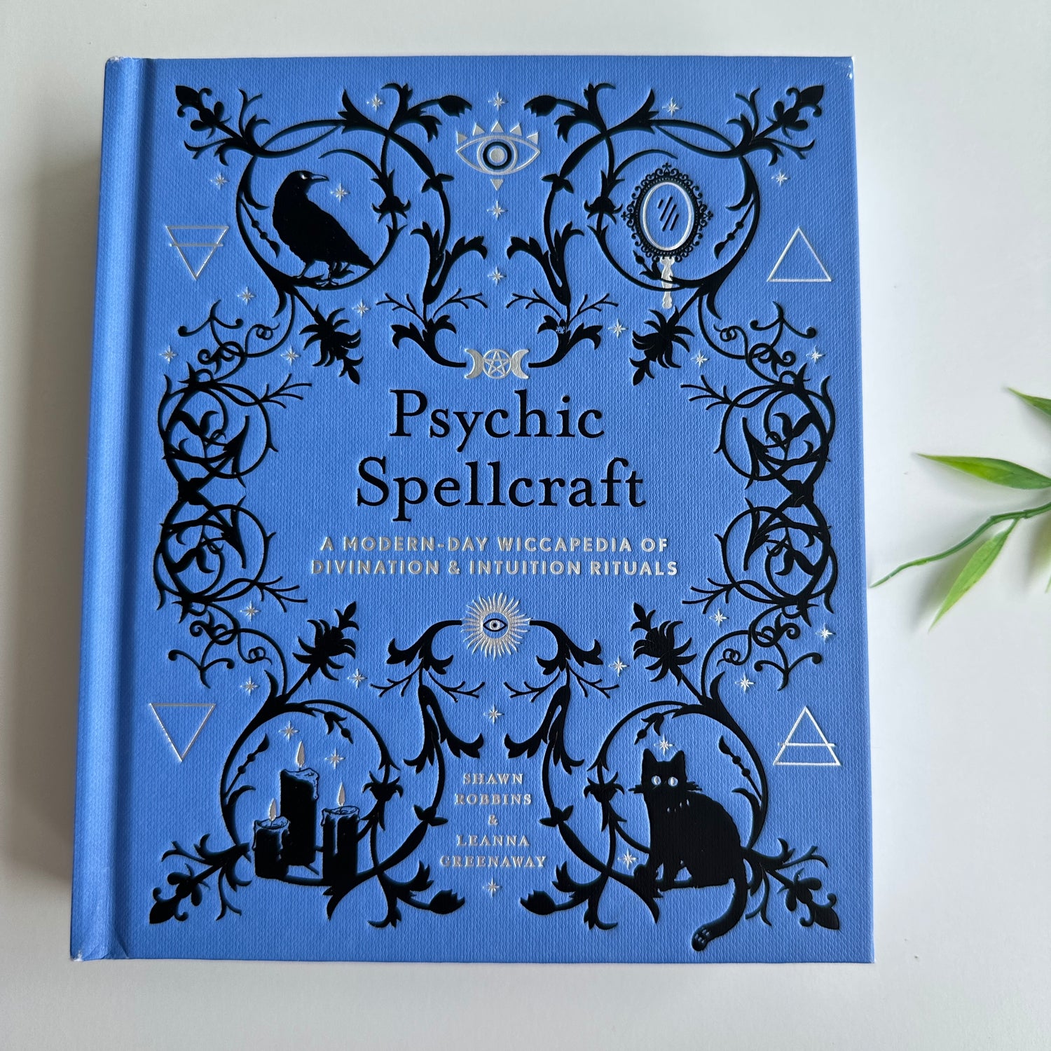 Psychic Spellcraft Shawn Robbins