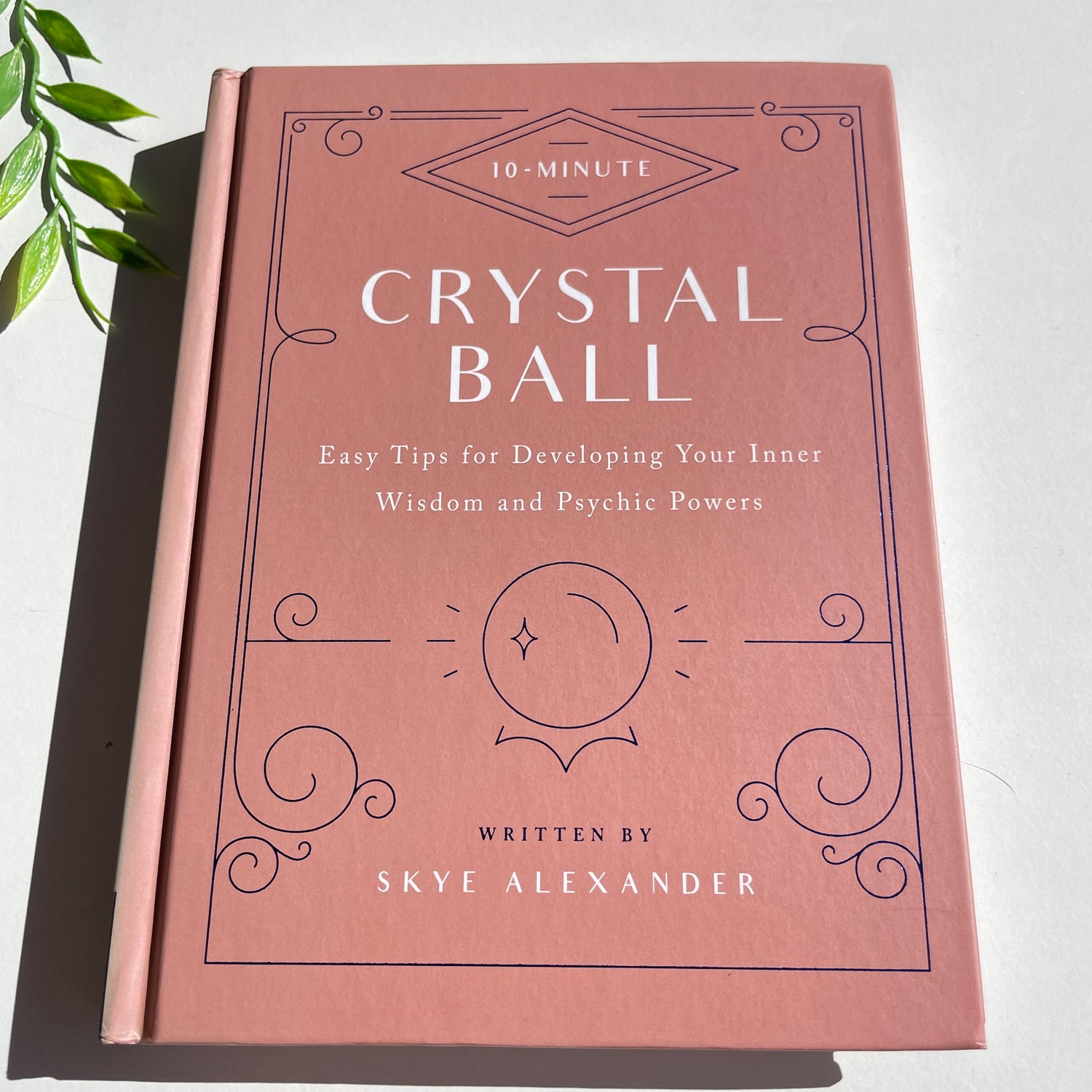 10 Minute Crystal Ball Skye Alexander