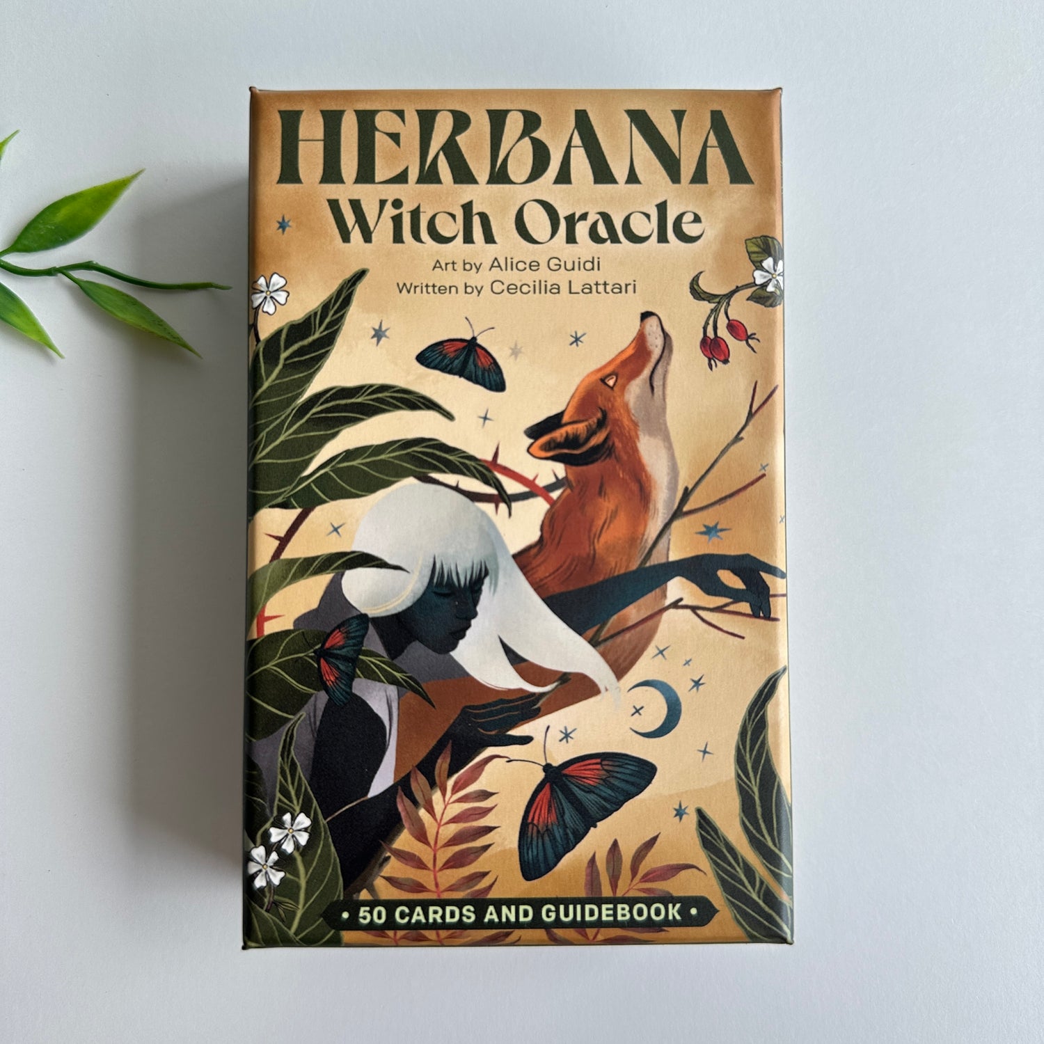 Herbana Witch Oracle Cecilia Lattari