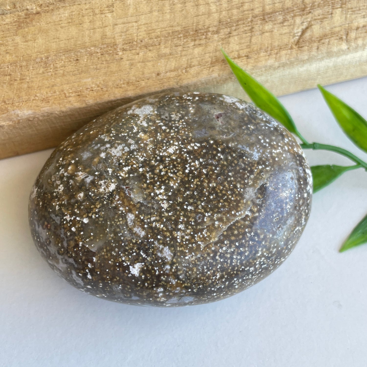 Ocean Jasper Palmstone 126g