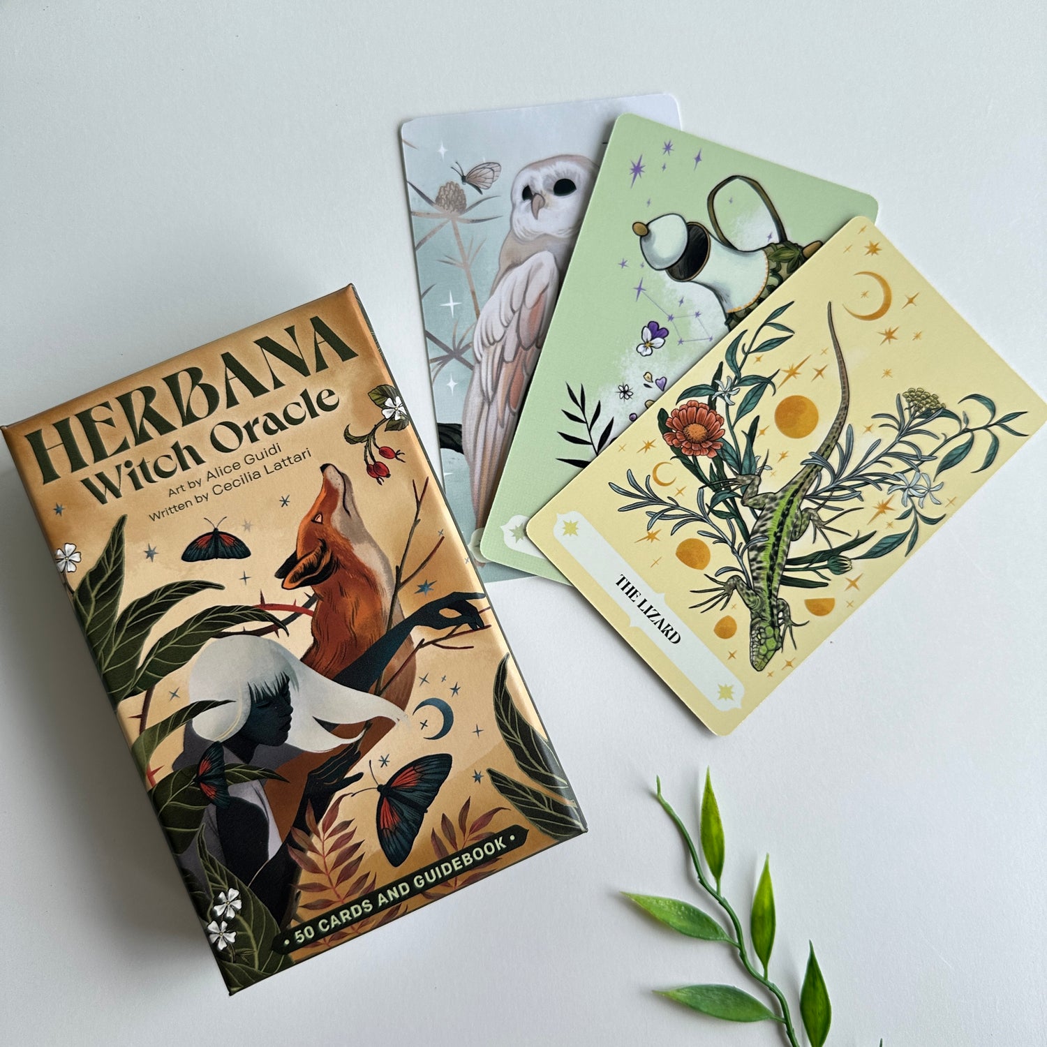 Herbana Witch Oracle Cecilia Lattari
