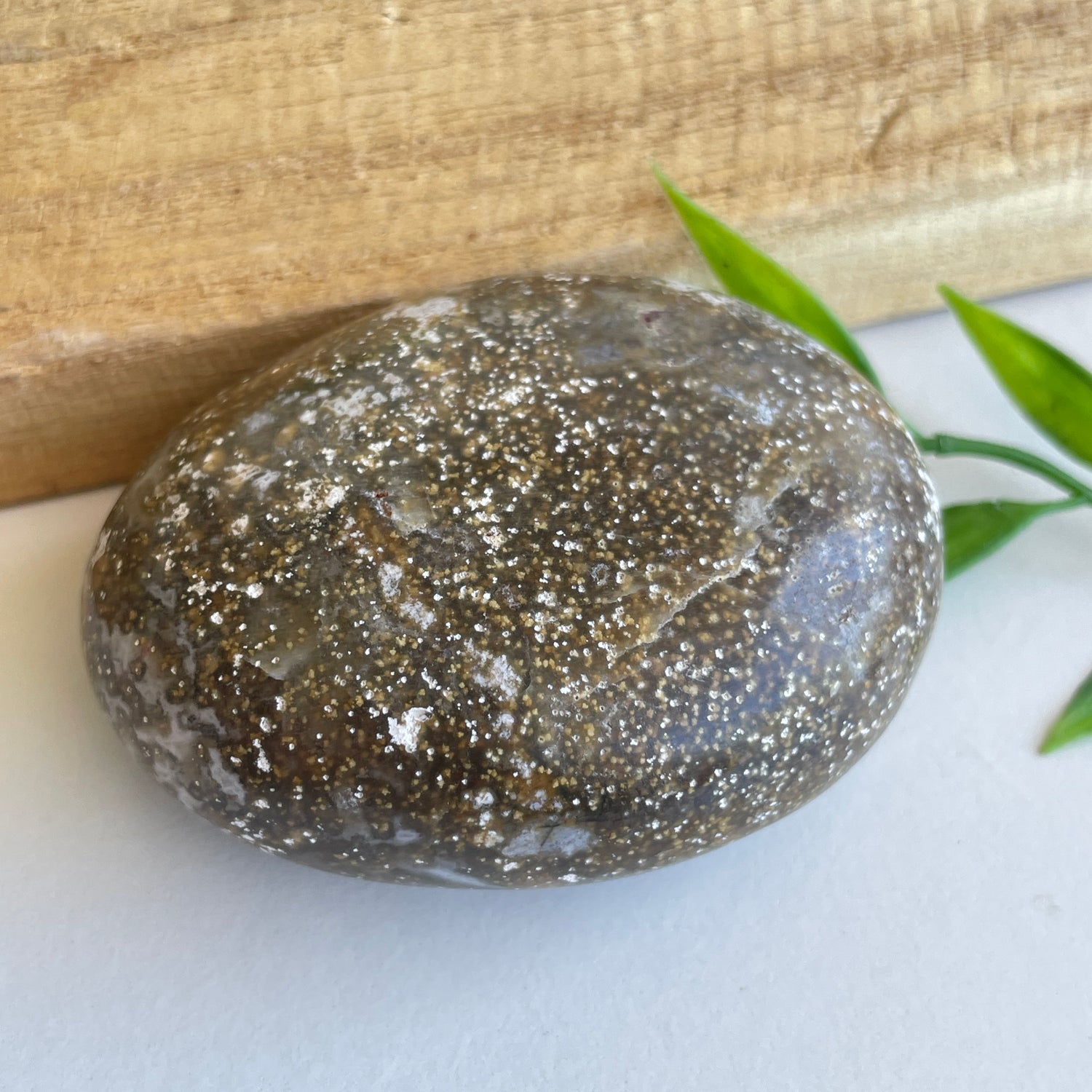 Ocean Jasper Palmstone 126g