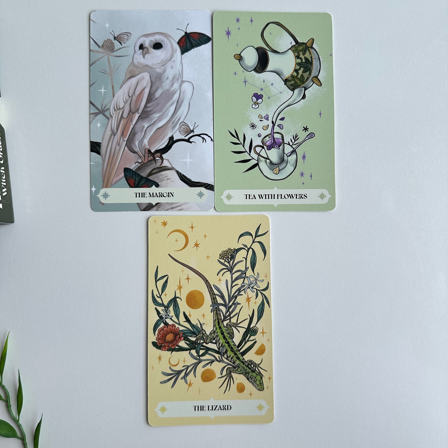 Herbana Witch Oracle Cecilia Lattari