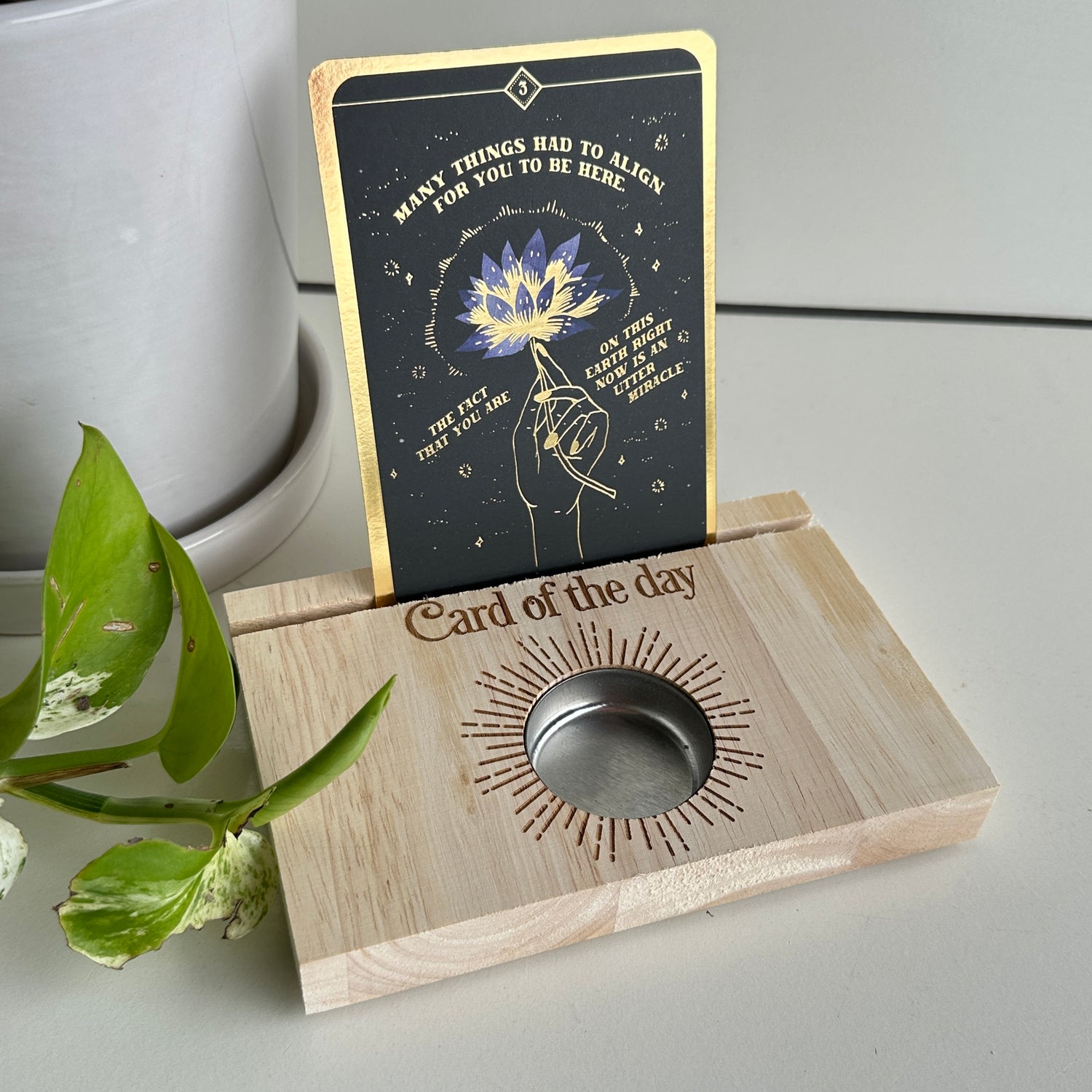 Card Of The Day Stand TC86024