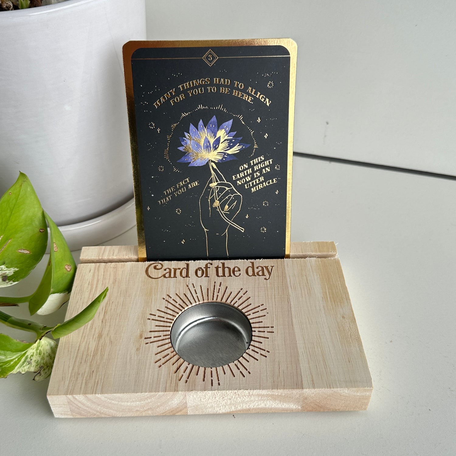 Card Of The Day Stand TC86024