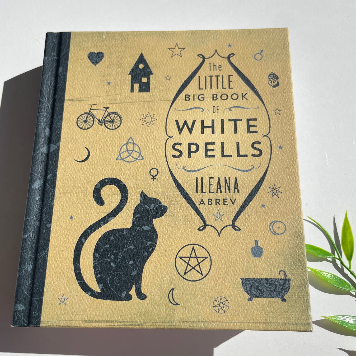 The Little Big Book Of White Spells Ileana Abrev