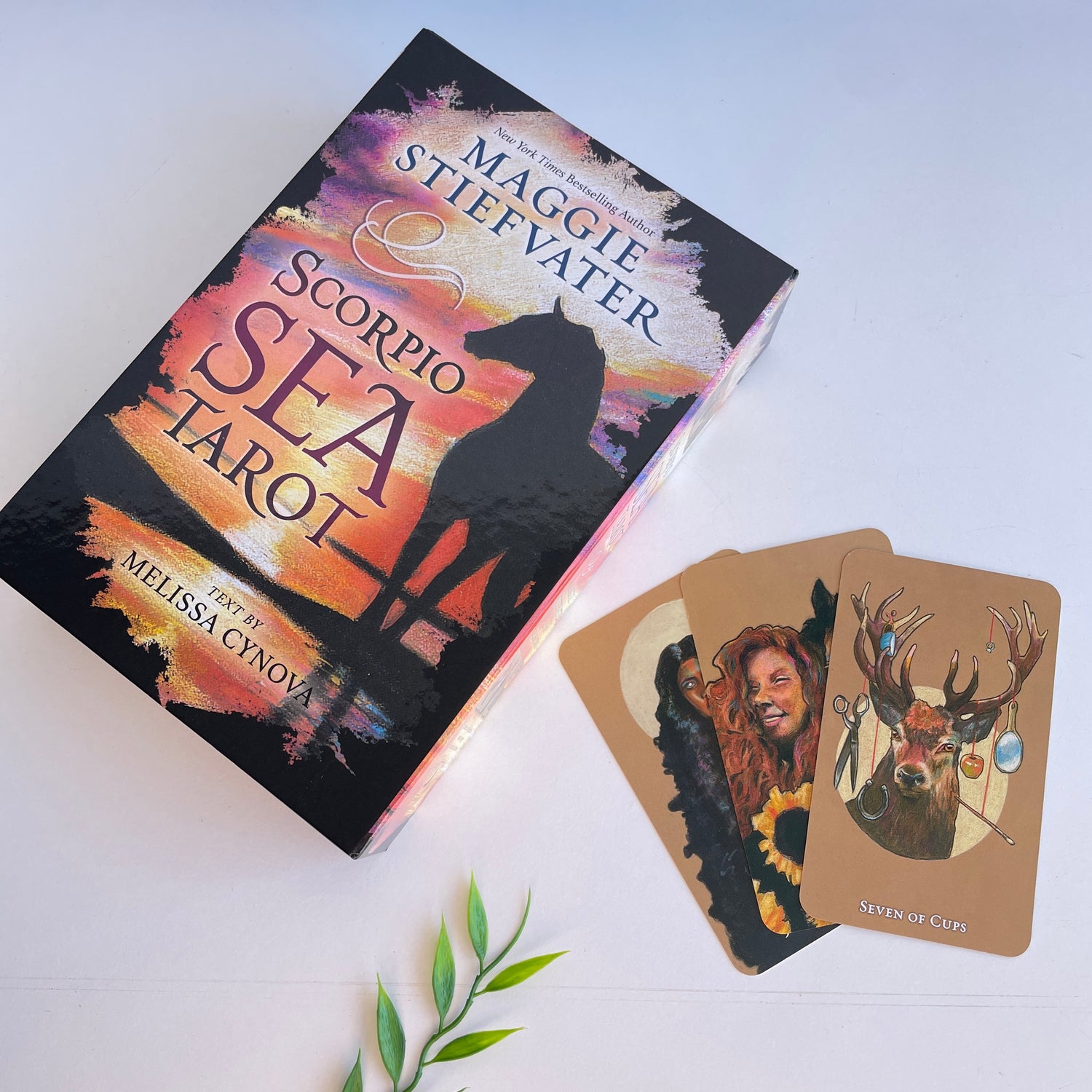 Scorpio Sea Tarot Maggie Stiefvater