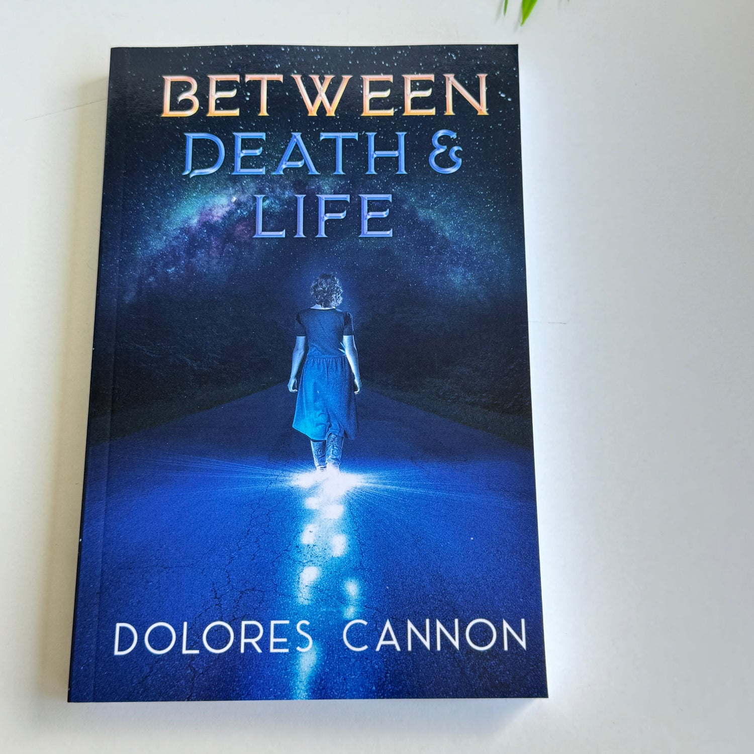 Between Death And Life Dolores Cannon
