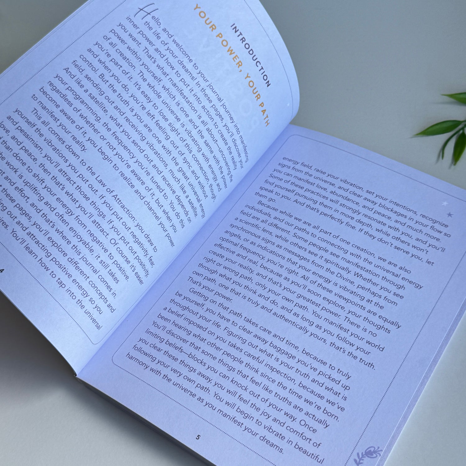 Positive Manifestation Journal