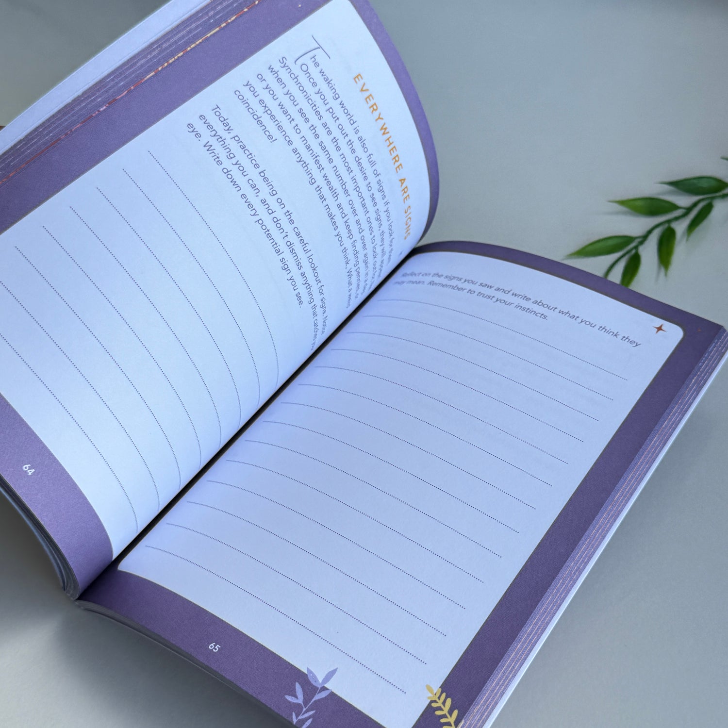 Positive Manifestation Journal