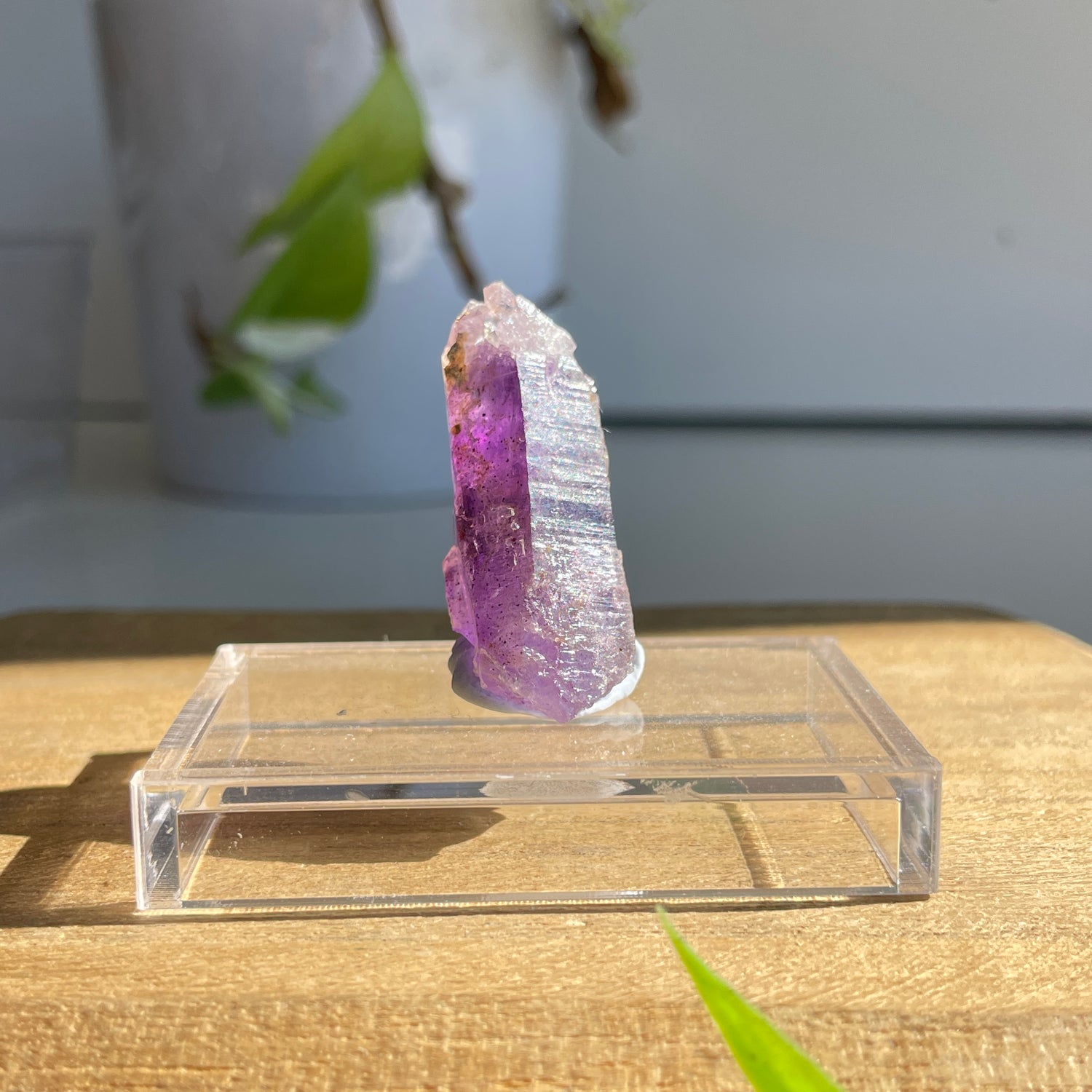 Brandberg Amethyst Point