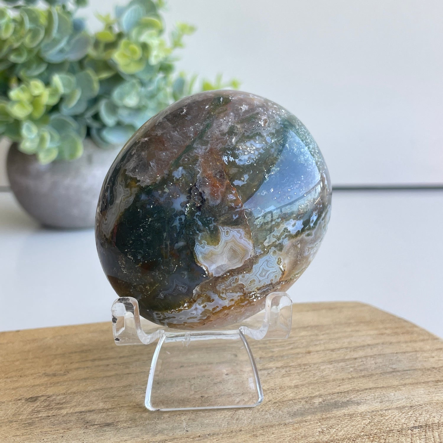 Ocean Jasper Palmstone 216g
