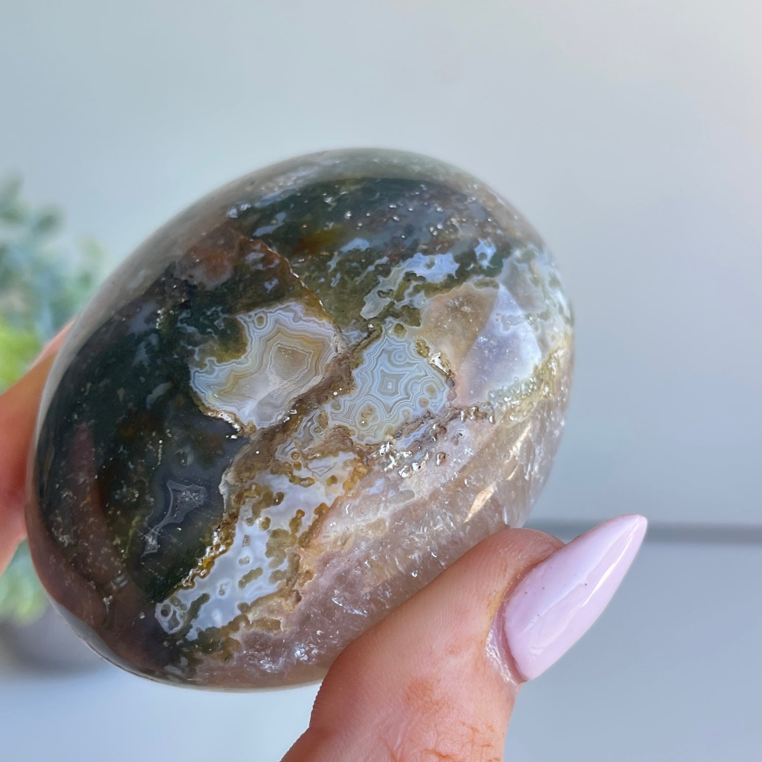 Ocean Jasper Palmstone 216g
