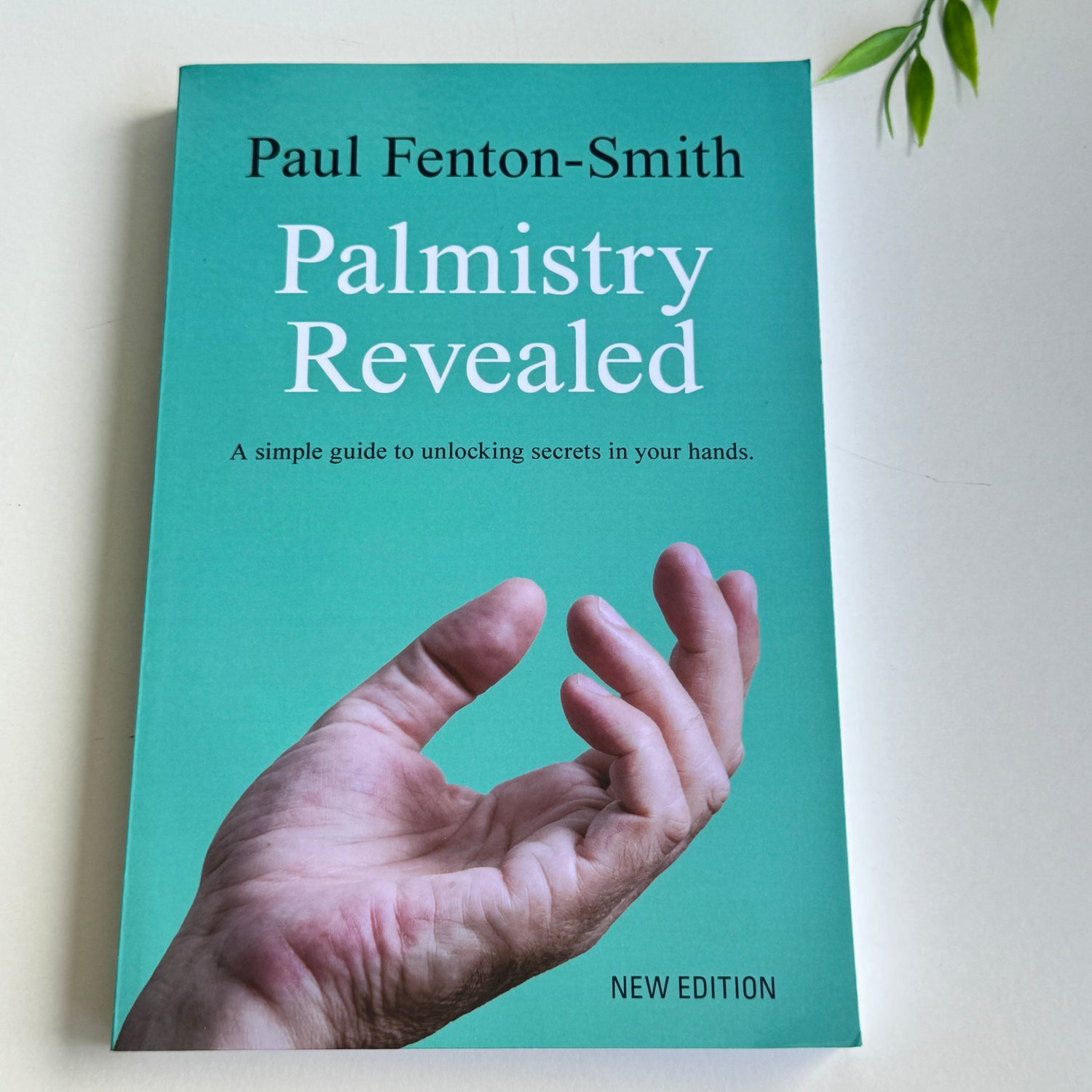 Palmistry Revealed Paul Fenton Smith