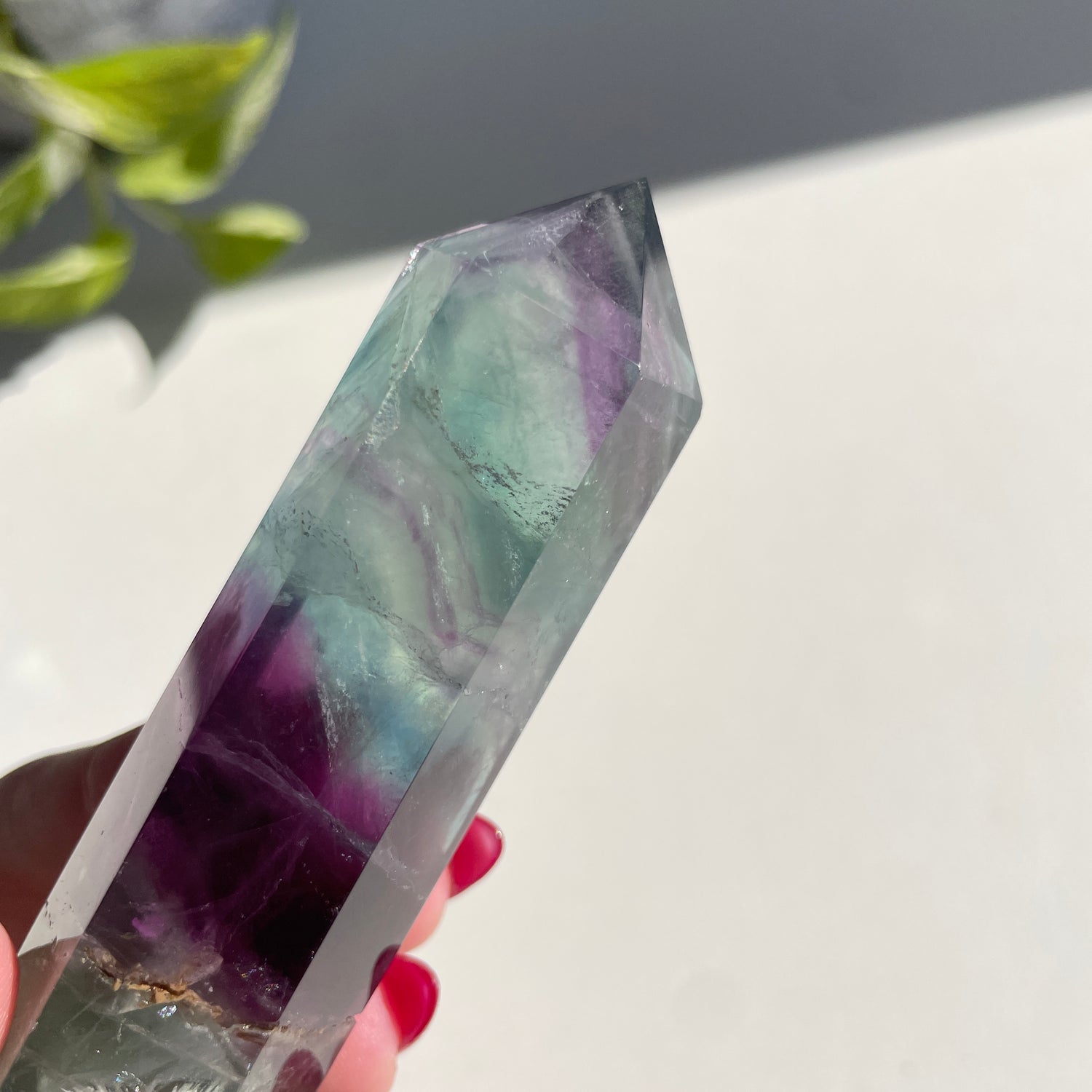 Fluorite Double Terminator 12.9cm