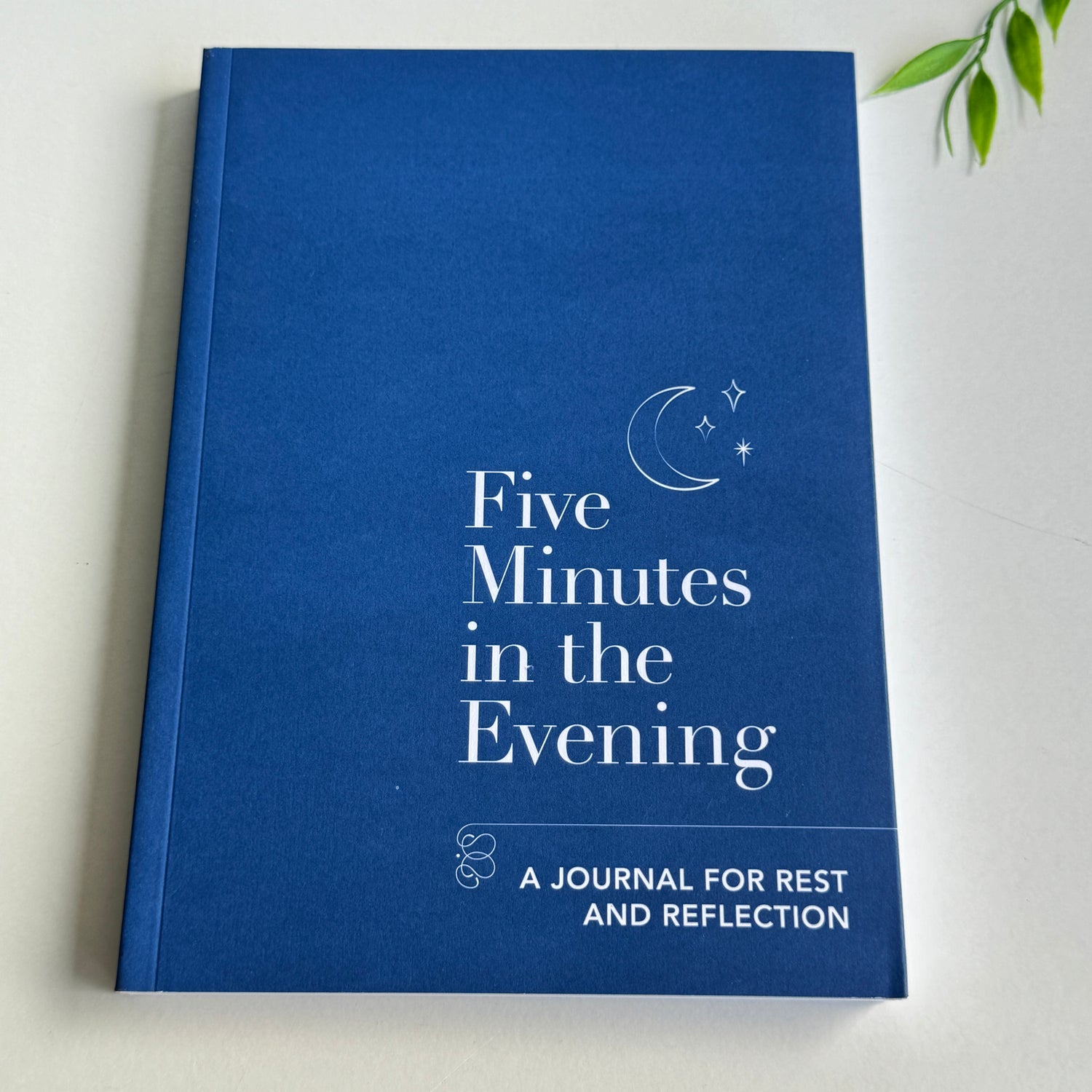 Five Minutes In The Evening