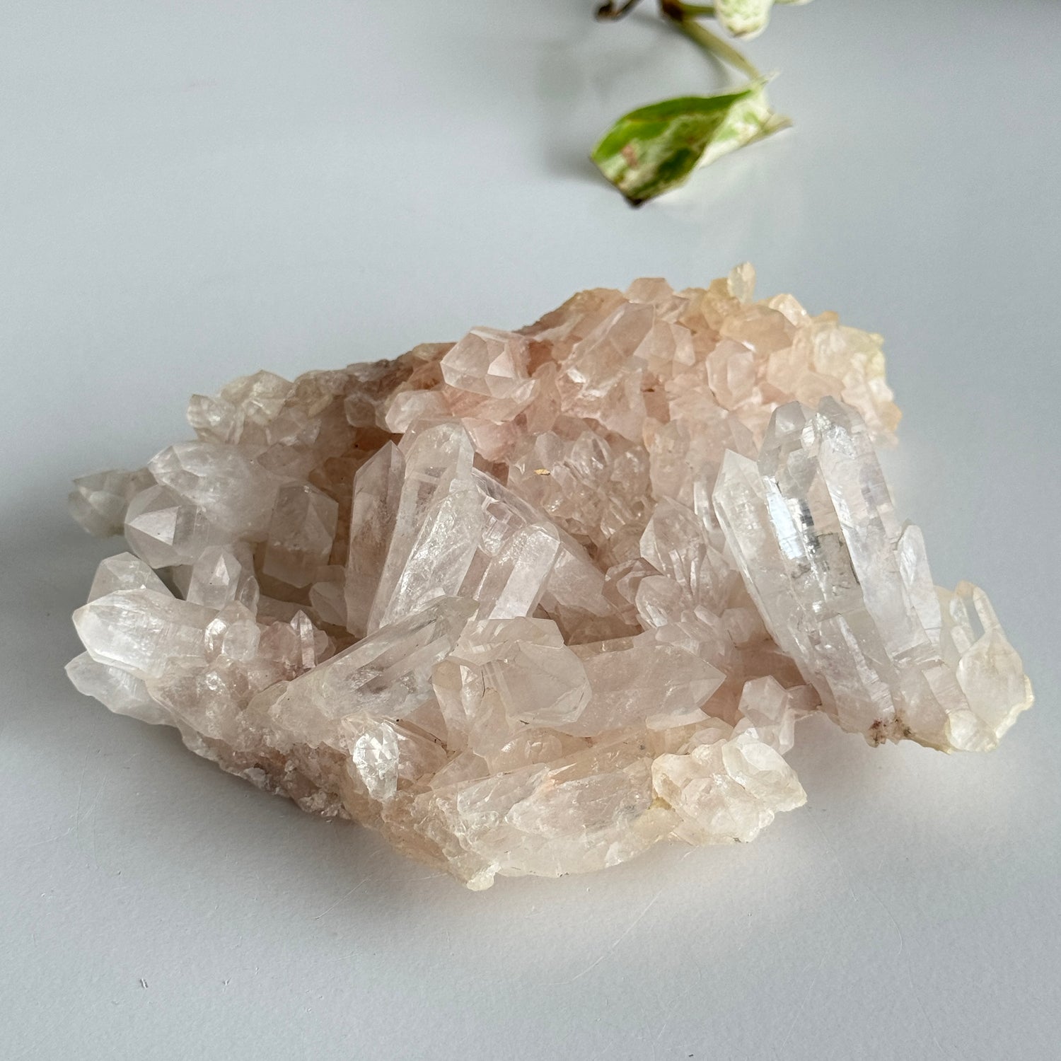 Clear Quartz Cluster - A Grade 660g