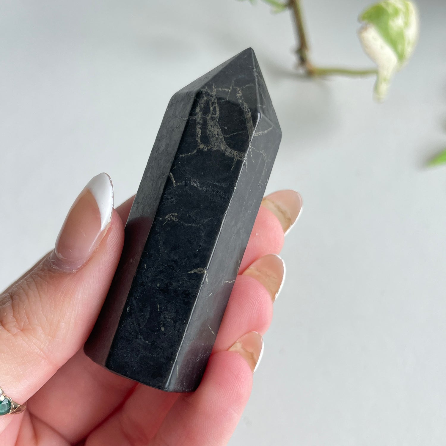 Shungite Generator Assorted