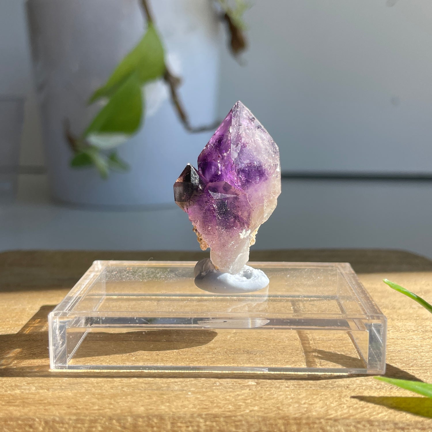 Brandberg Amethyst Point