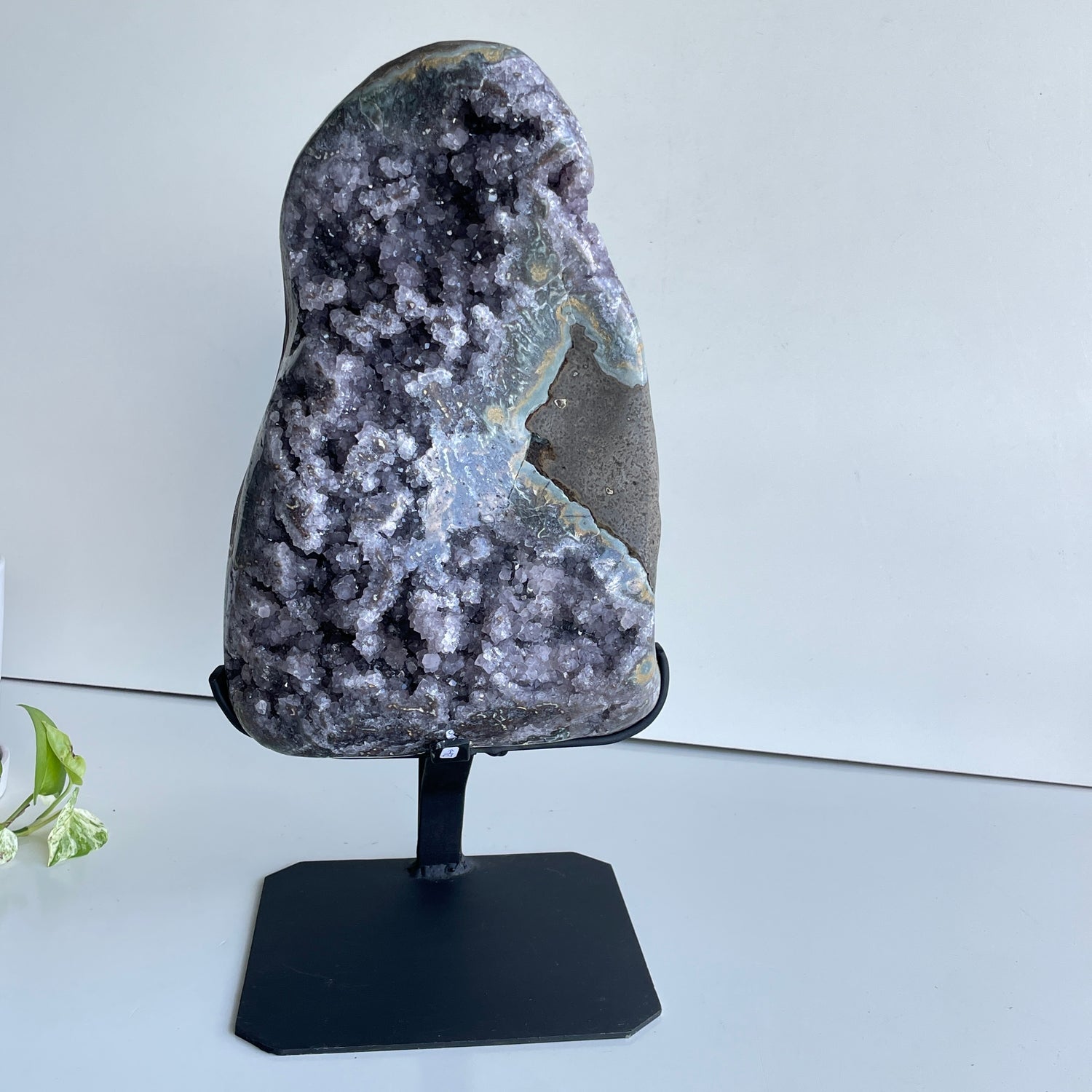 Brazilian Amethyst Cluster In Stand 11.294kg