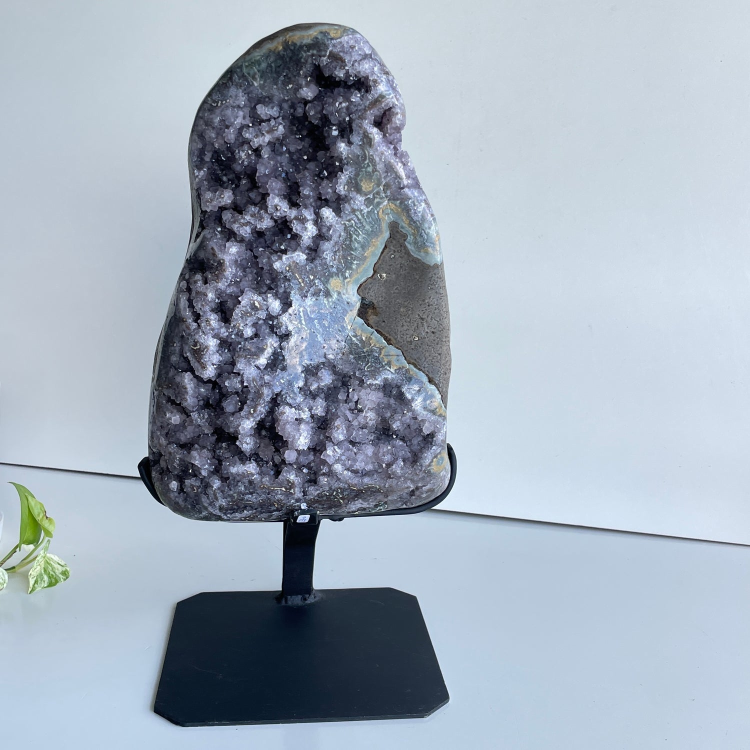 Brazilian Amethyst Cluster In Stand 11.294kg
