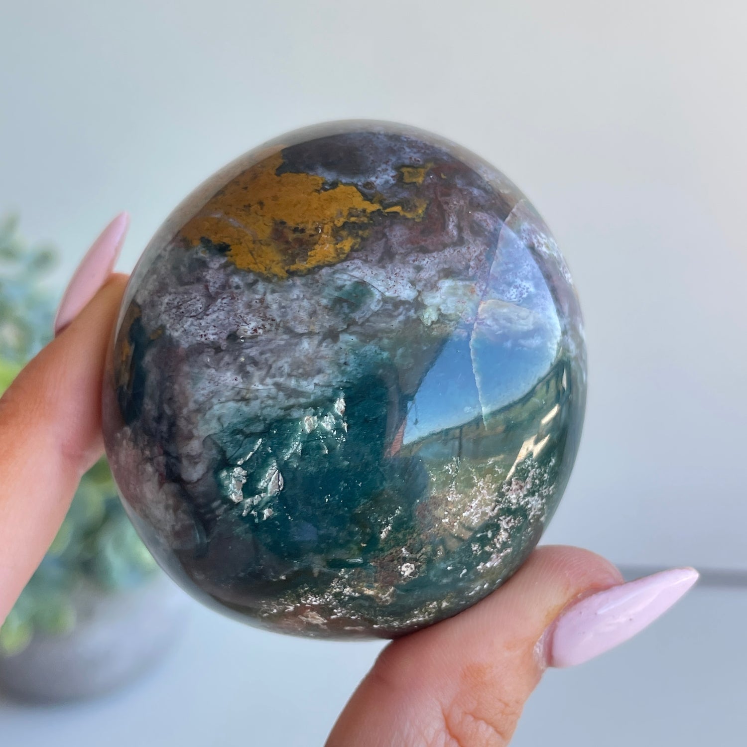 Ocean Jasper Palmstone 186g