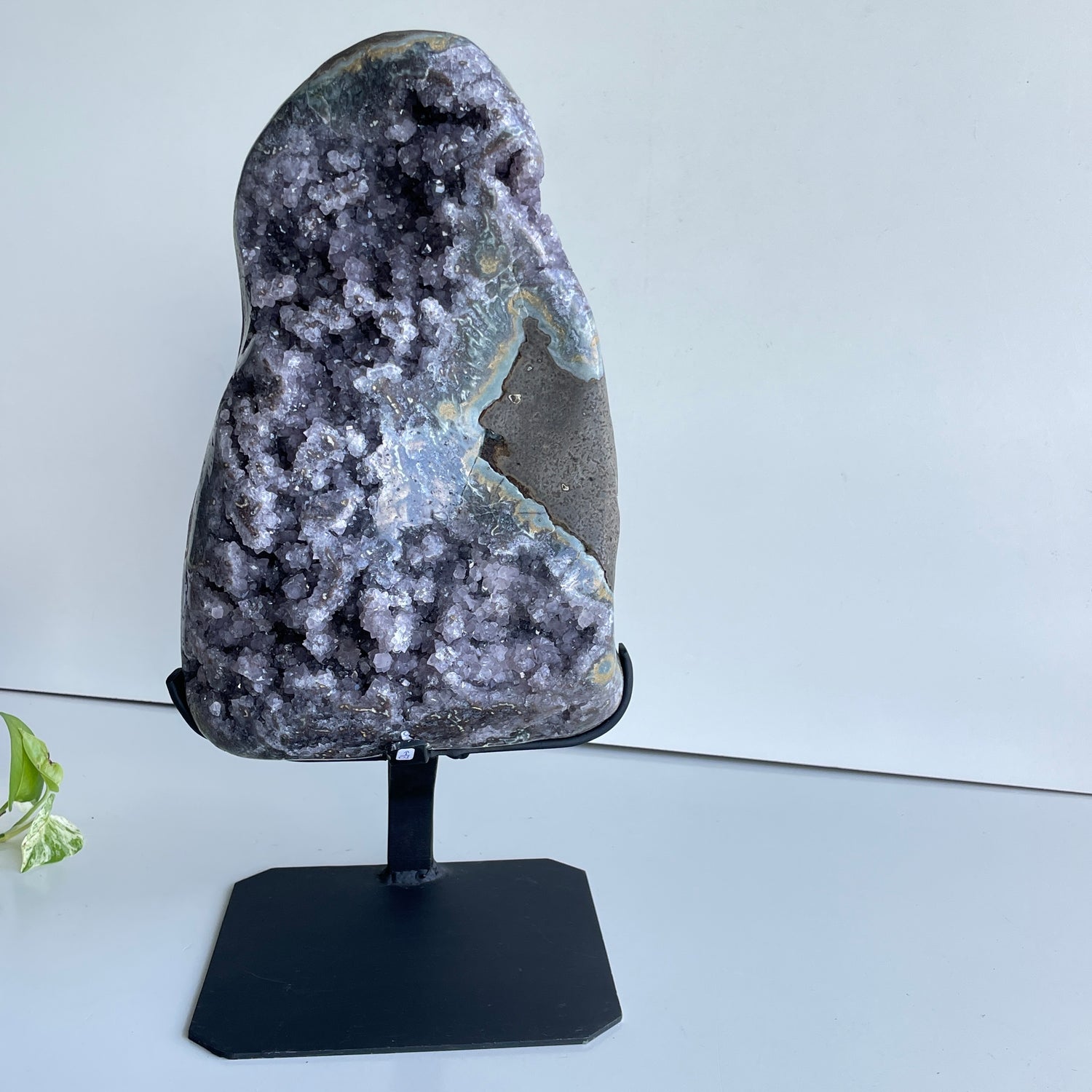 Brazilian Amethyst Cluster In Stand 11.294kg