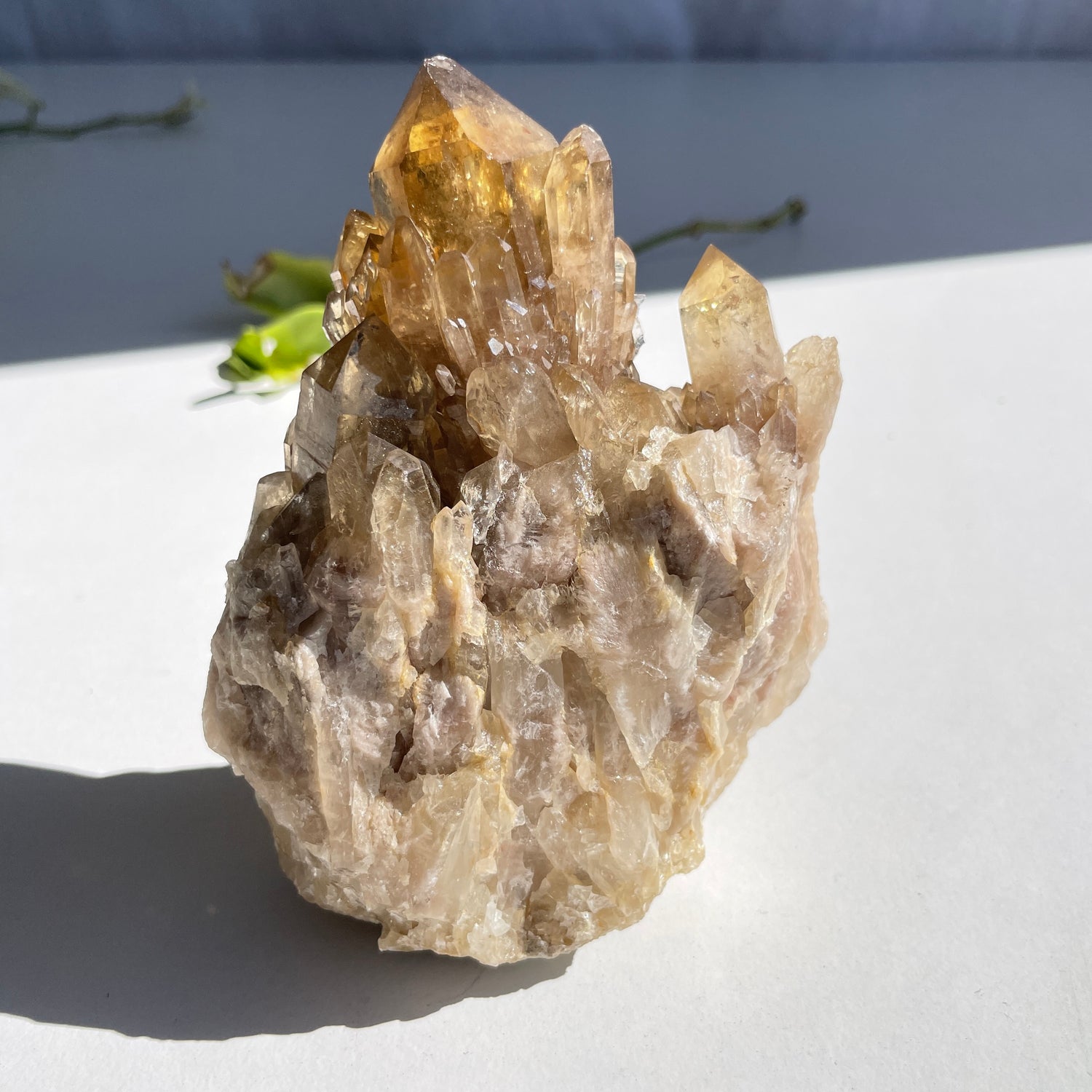 Kundalini Citrine Cluster 512g