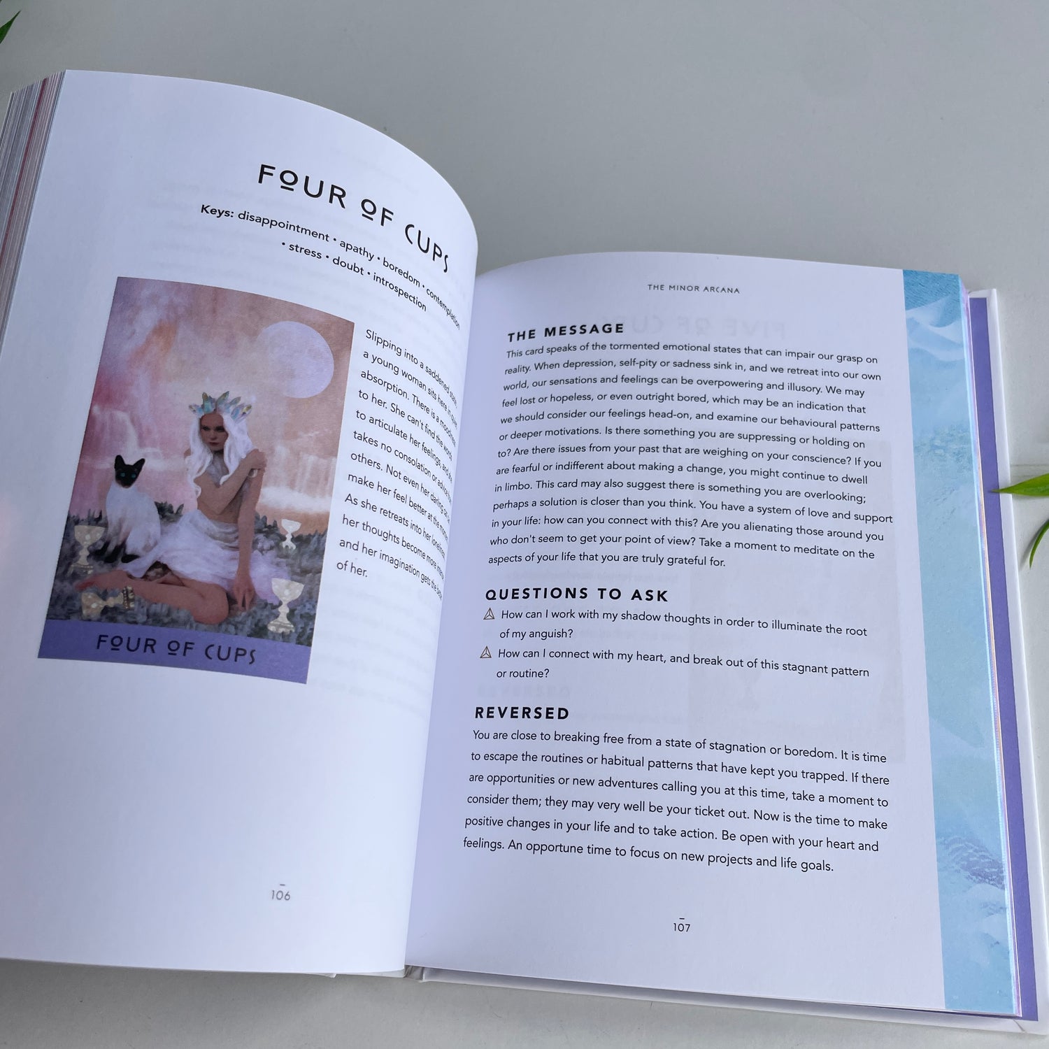 The Book Of Tarot Danielle Noel