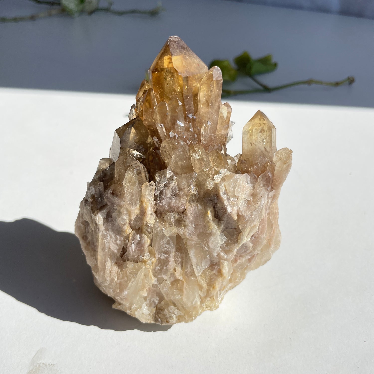 Kundalini Citrine Cluster 512g