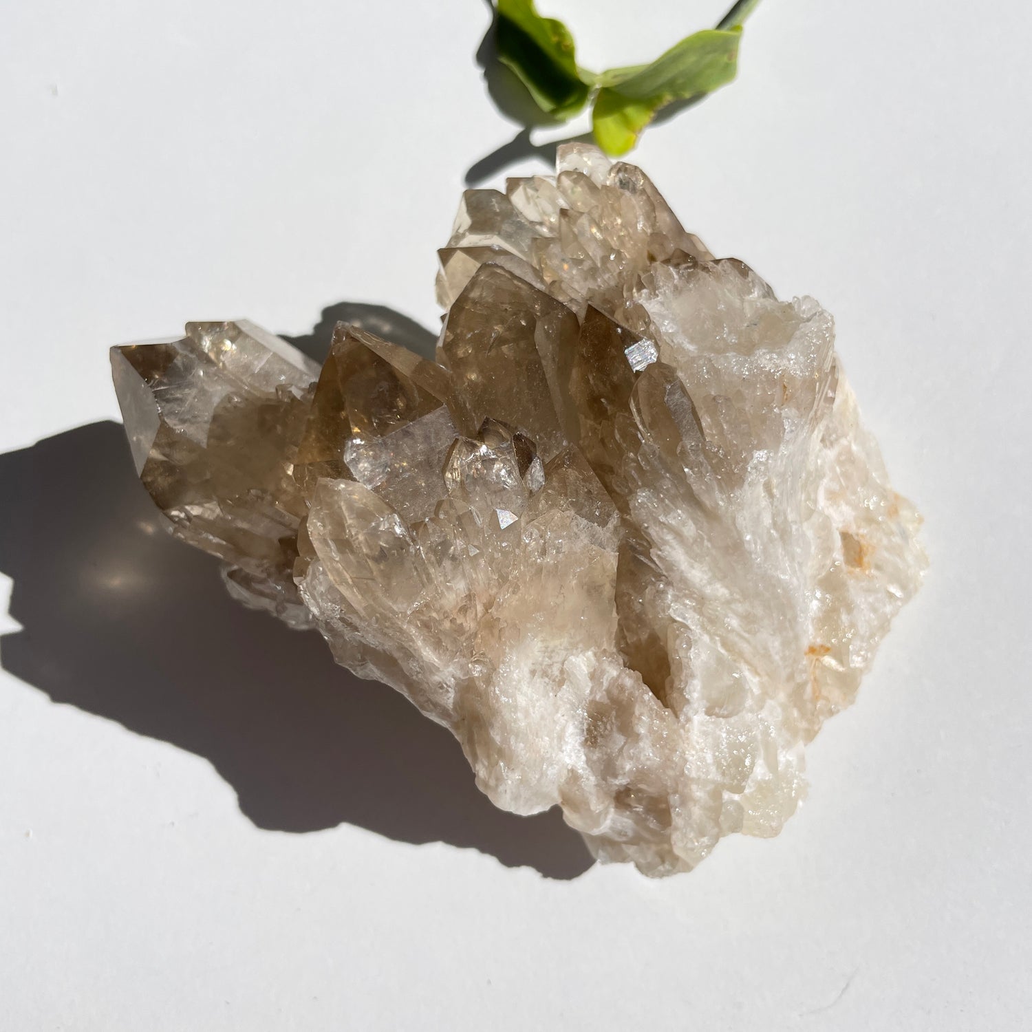 Kundalini Citrine Cluster 484g