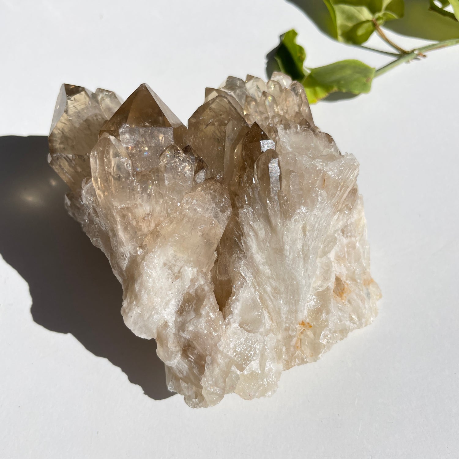 Kundalini Citrine Cluster 484g