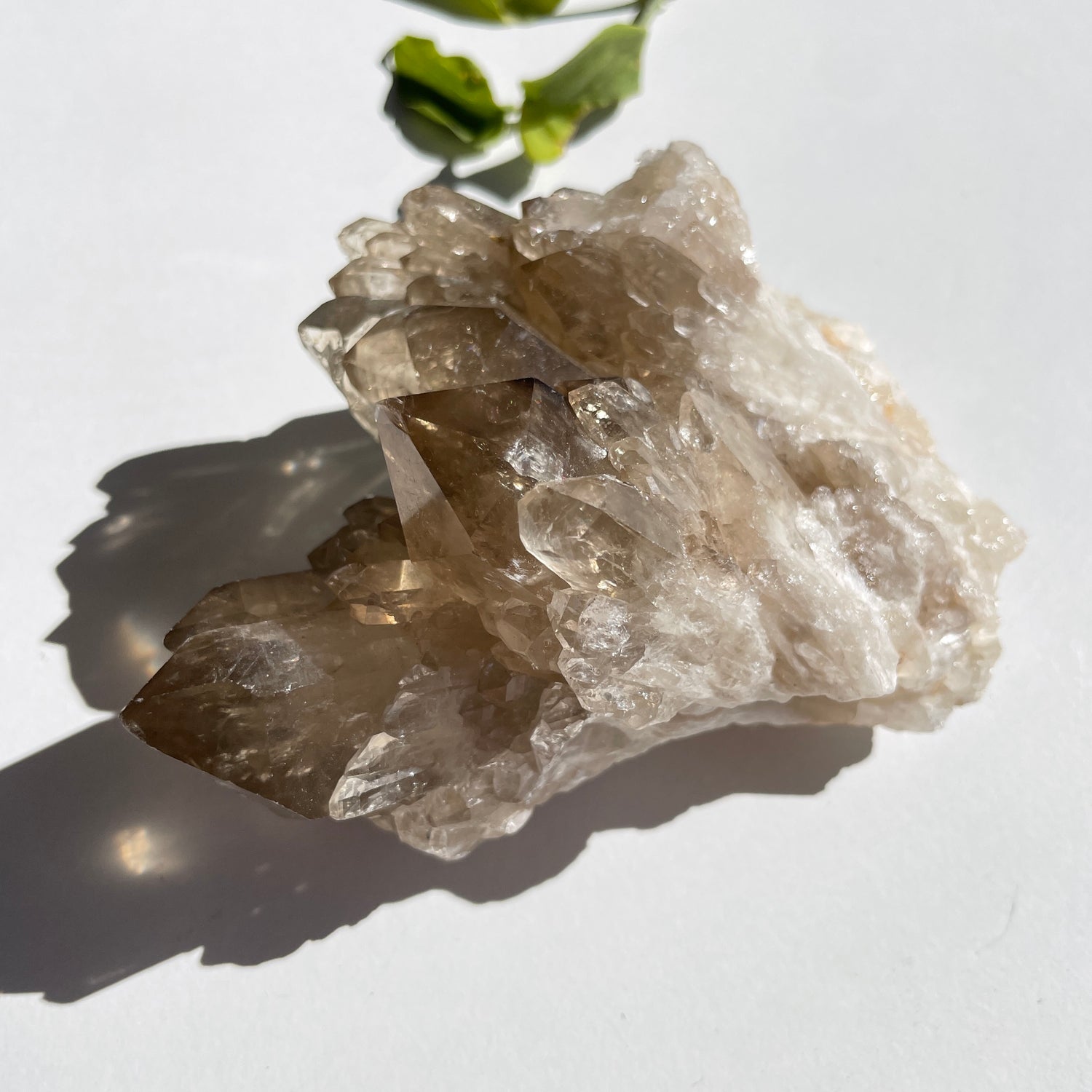 Kundalini Citrine Cluster 484g