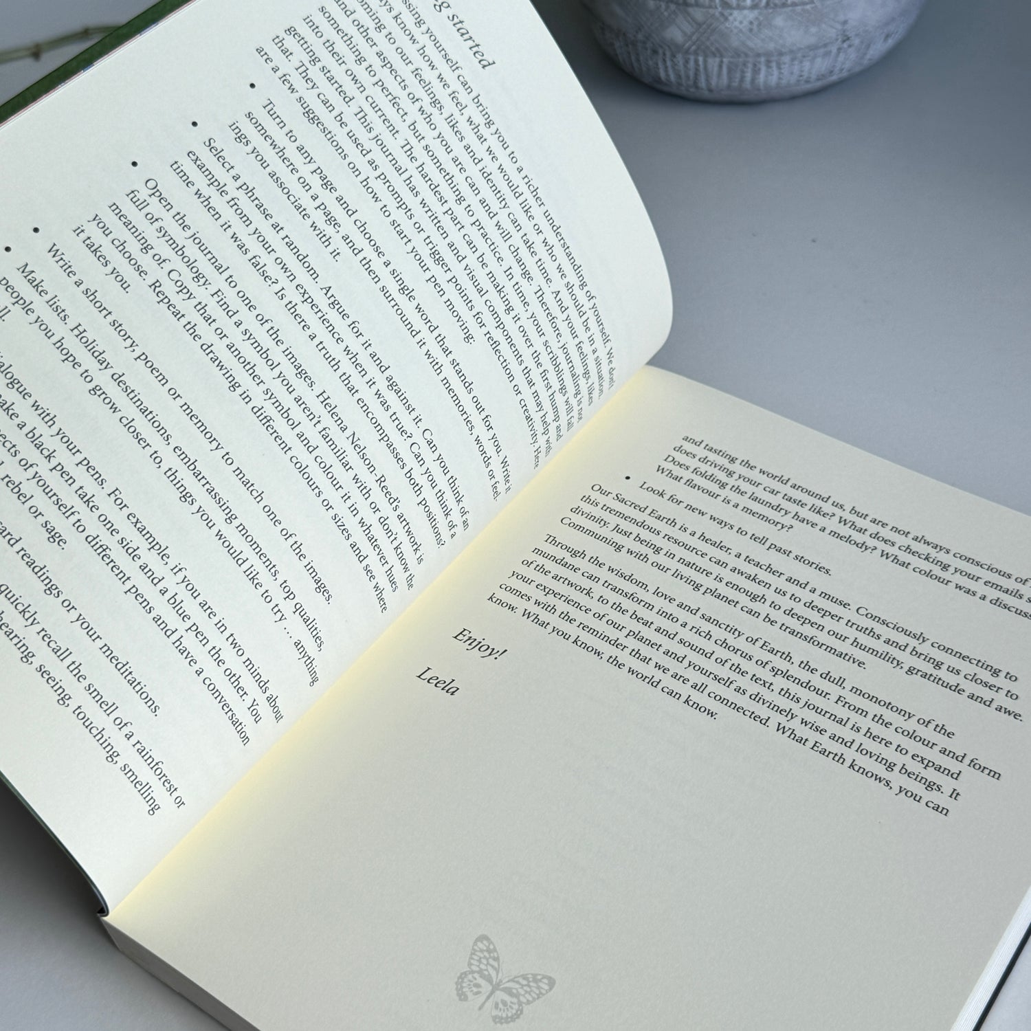 Sacred Earth Journal Toni Carmine Salerno