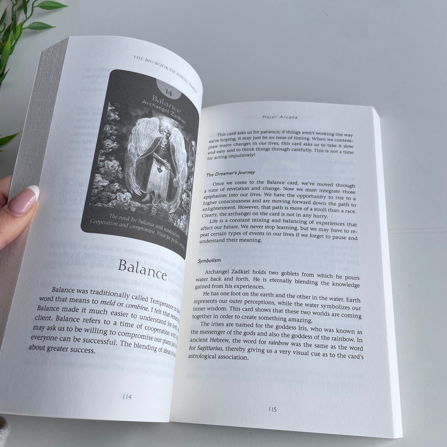 The Big Book of Angel Tarot Radleigh Valentine